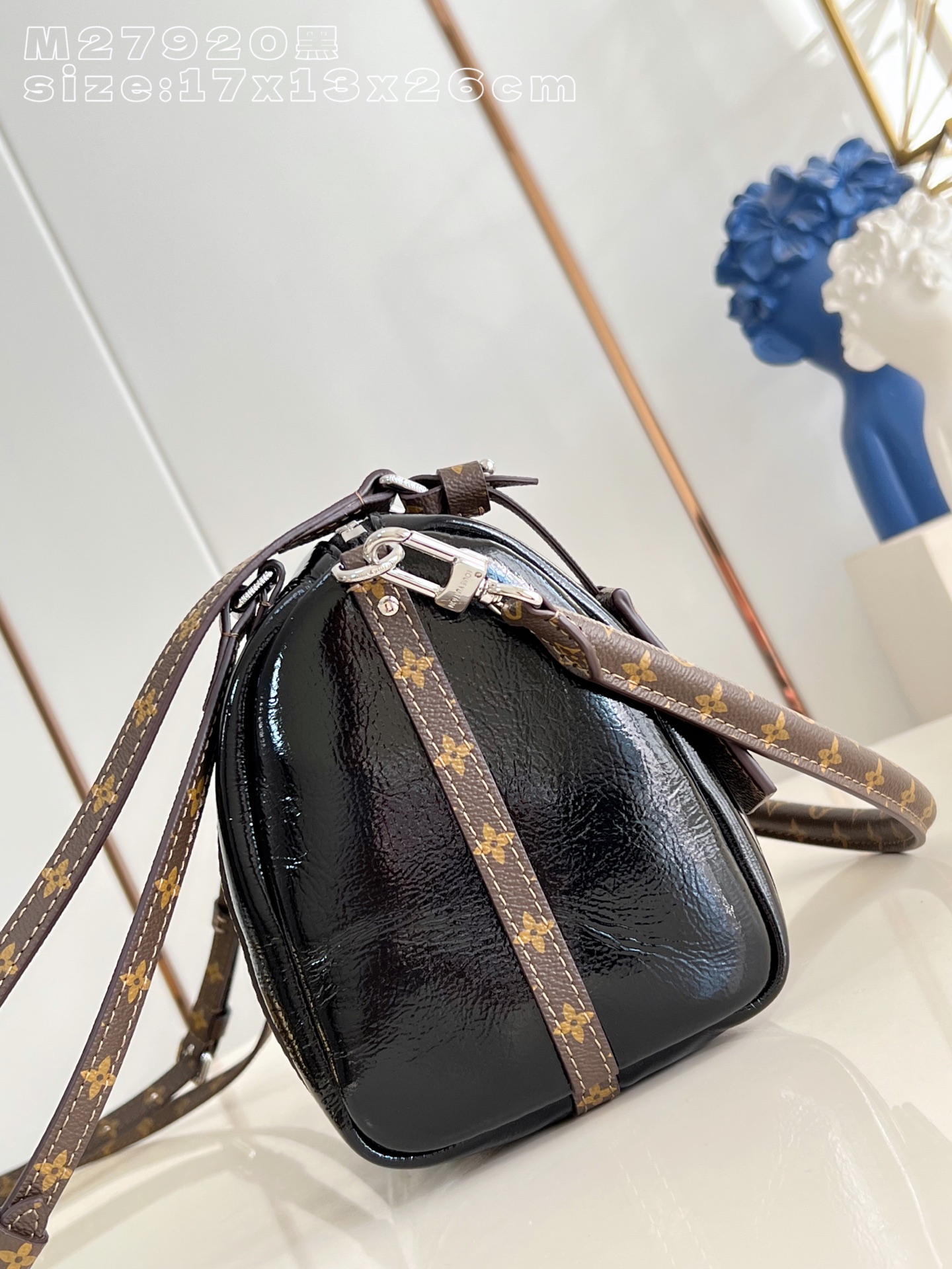 Louis Vuitton Basic Bag Cow Leather M-s