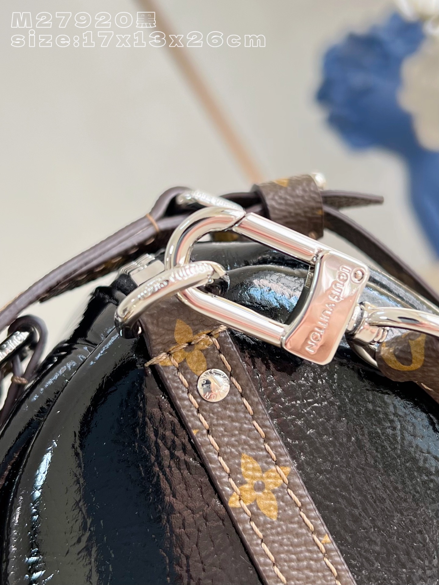 Louis Vuitton Basic Bag Cow Leather M-s