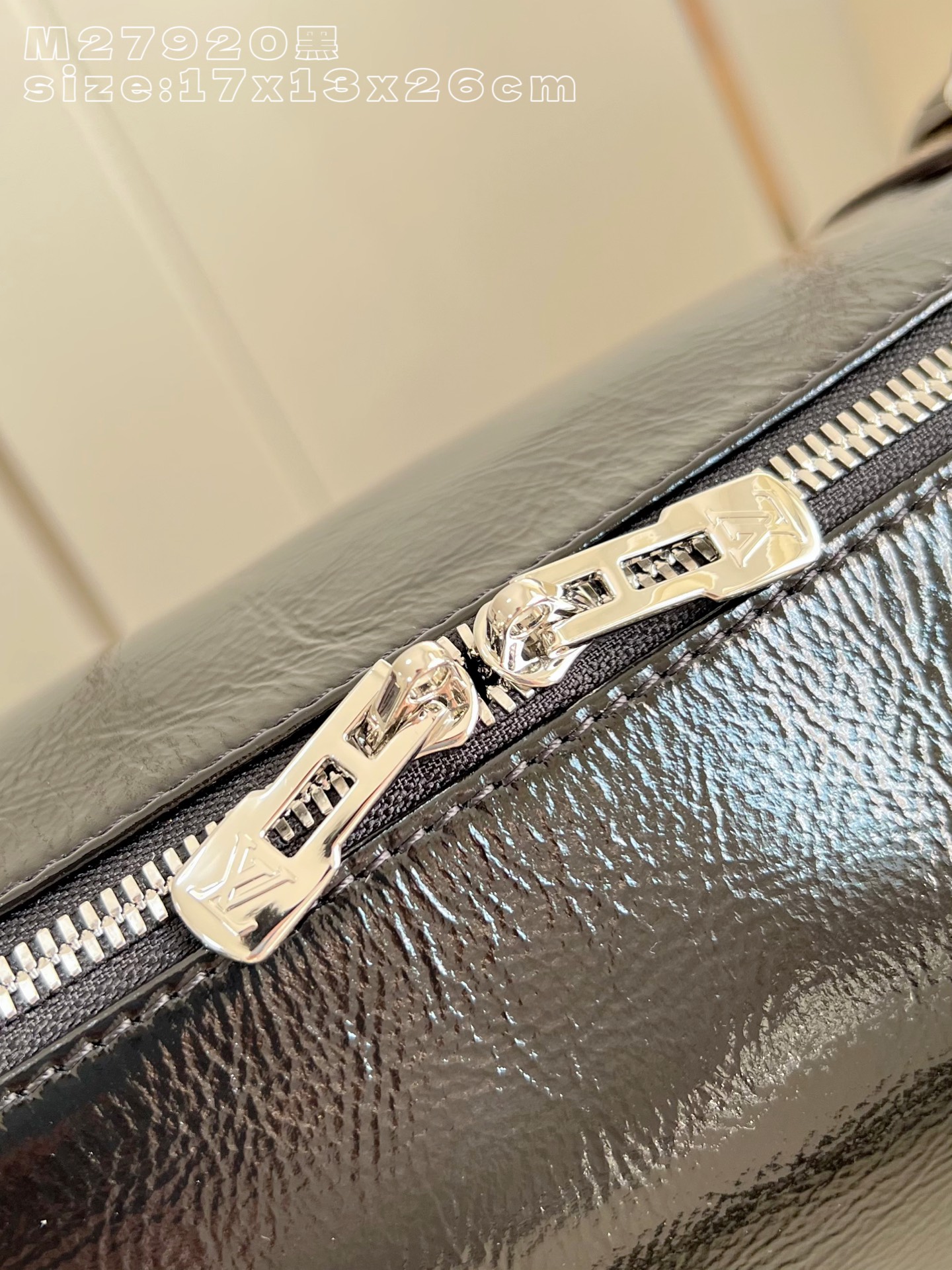 Louis Vuitton Basic Bag Cow Leather M-s