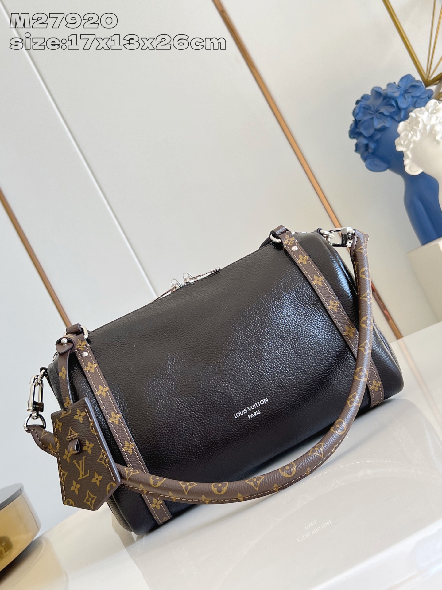 Louis Vuitton Basic Bag Cow Leather M-s