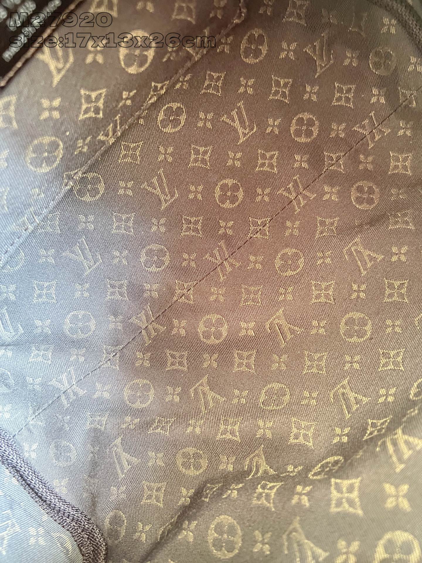 Louis Vuitton Basic Bag Cow Leather M-s