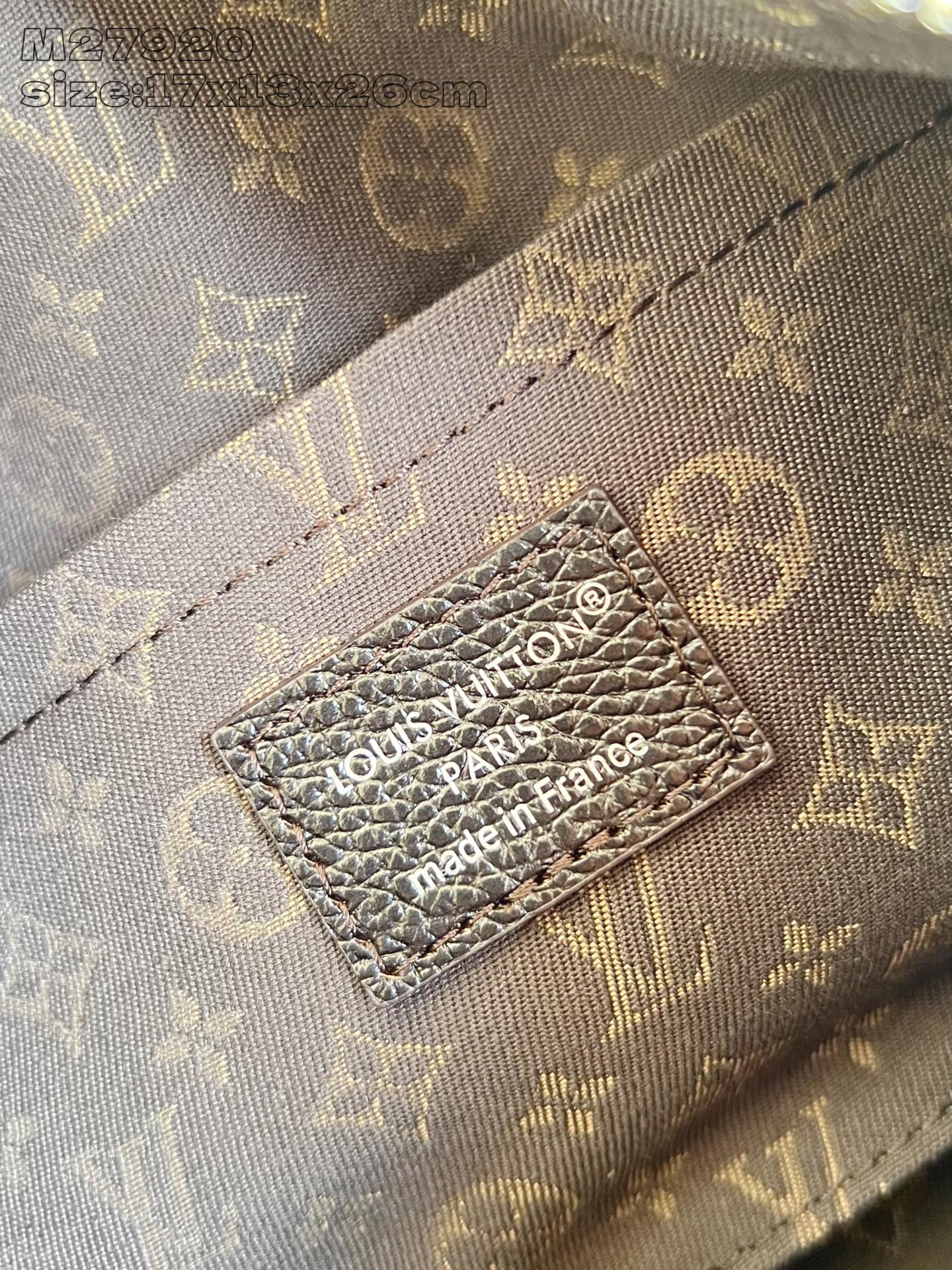 Louis Vuitton Basic Bag Cow Leather M-s