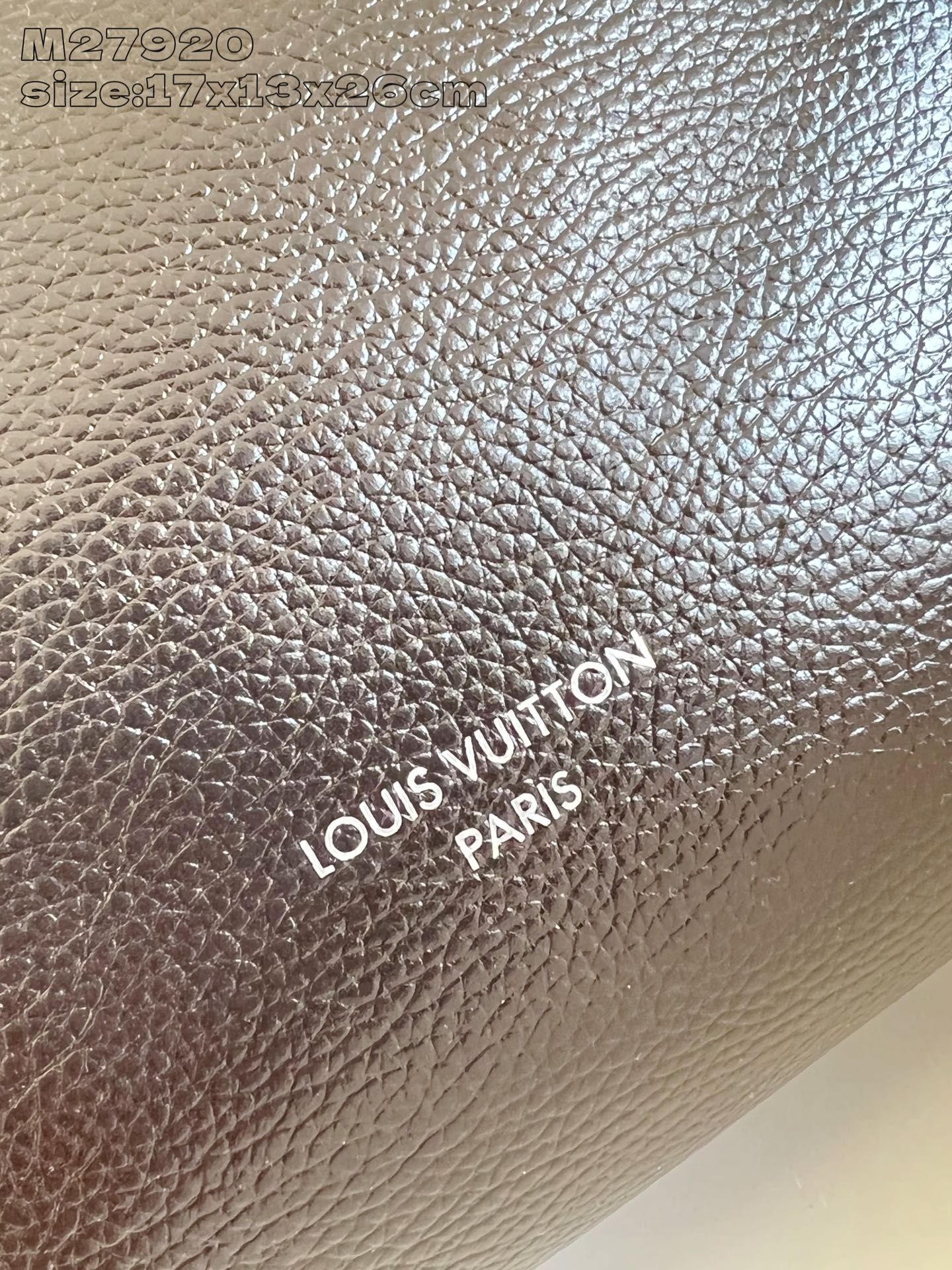 Louis Vuitton Basic Bag Cow Leather M-s