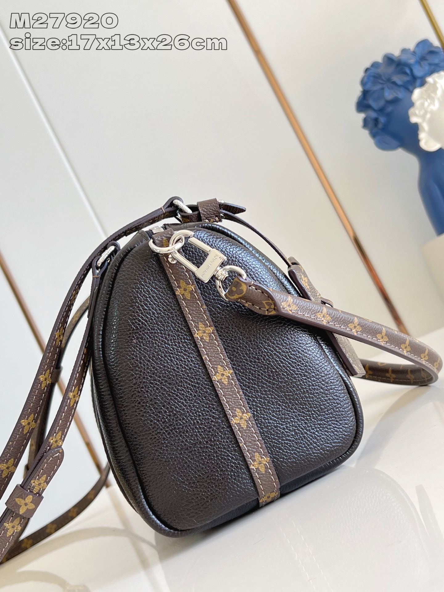 Louis Vuitton Basic Bag Cow Leather M-s