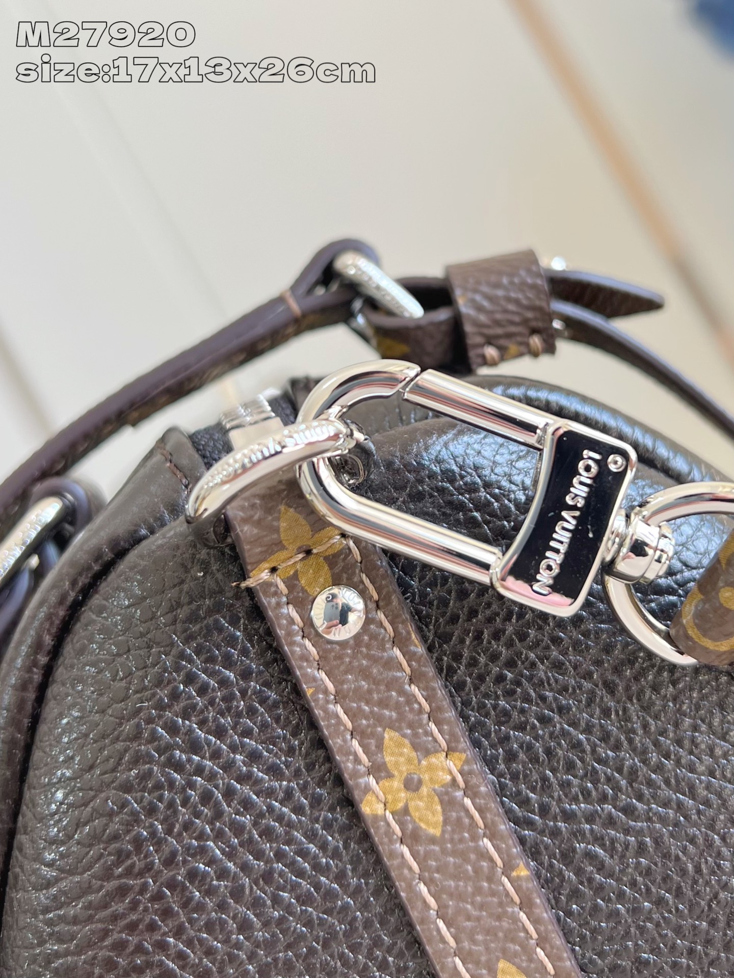 Louis Vuitton Basic Bag Cow Leather M-s