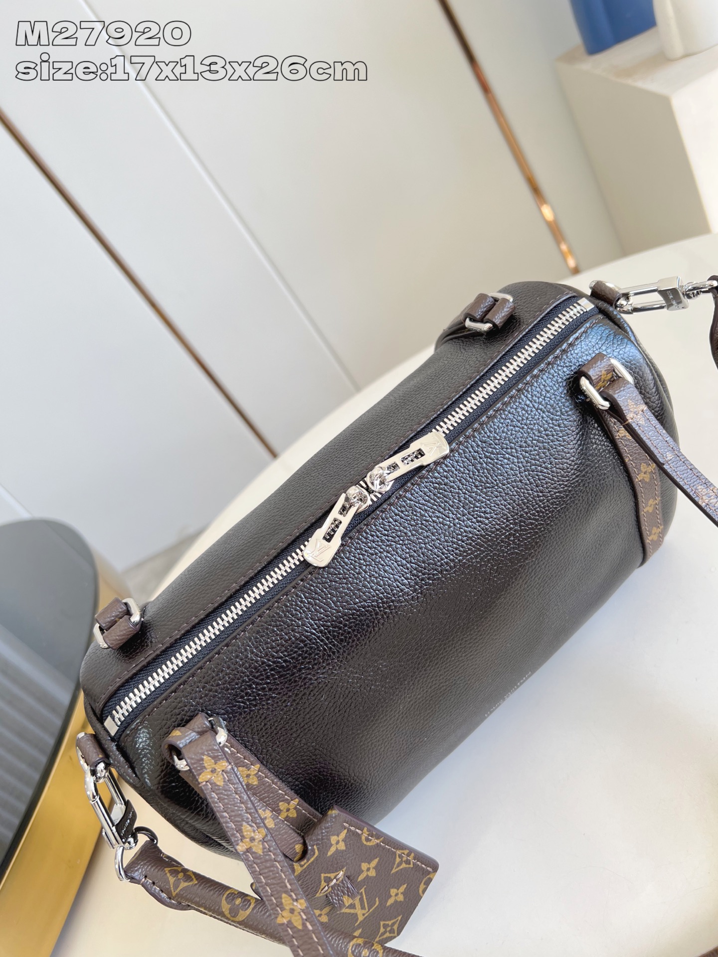 Louis Vuitton Basic Bag Cow Leather M-s