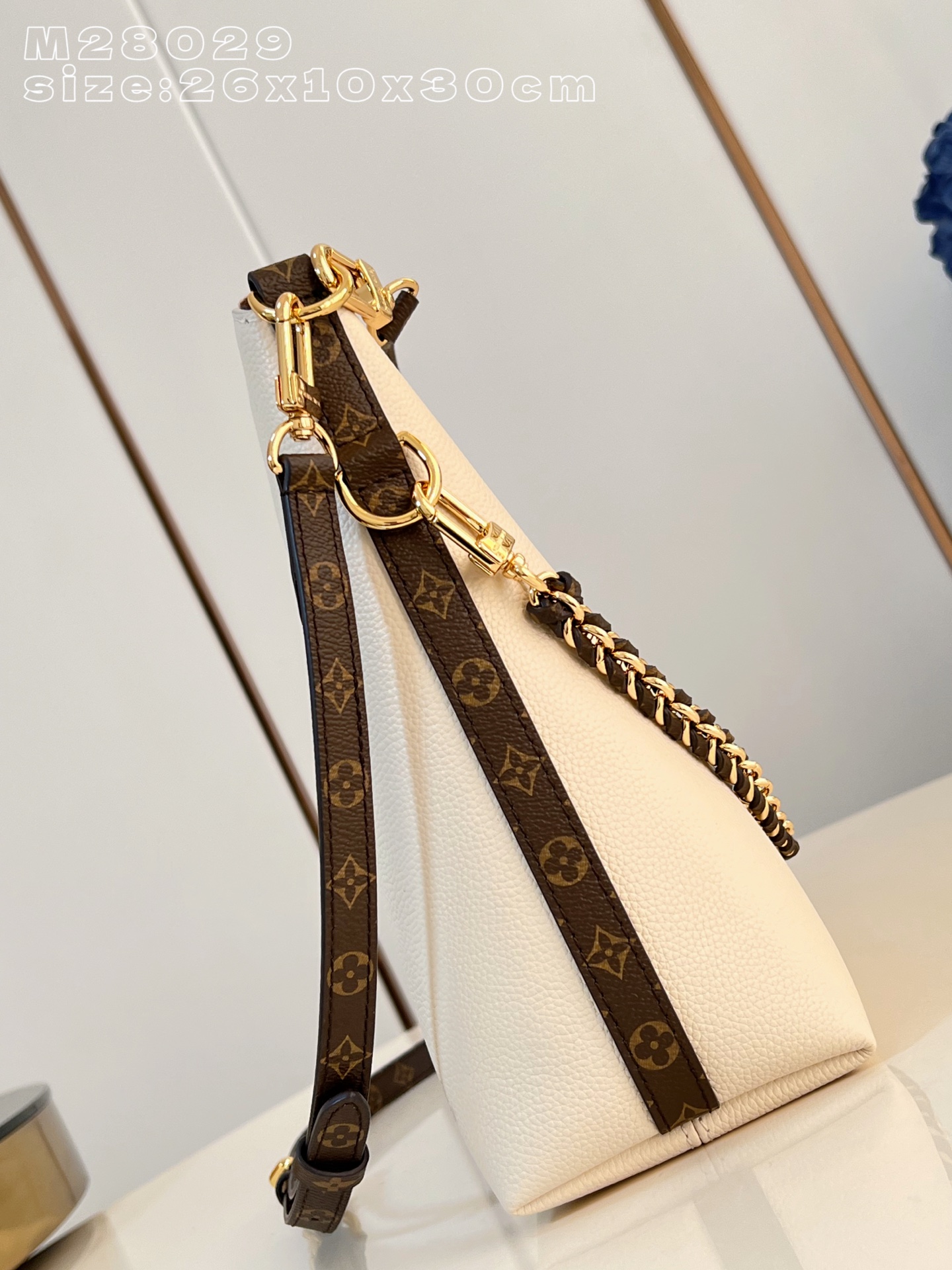 Louis Vuitton Basic Bag Canvas M-l-s