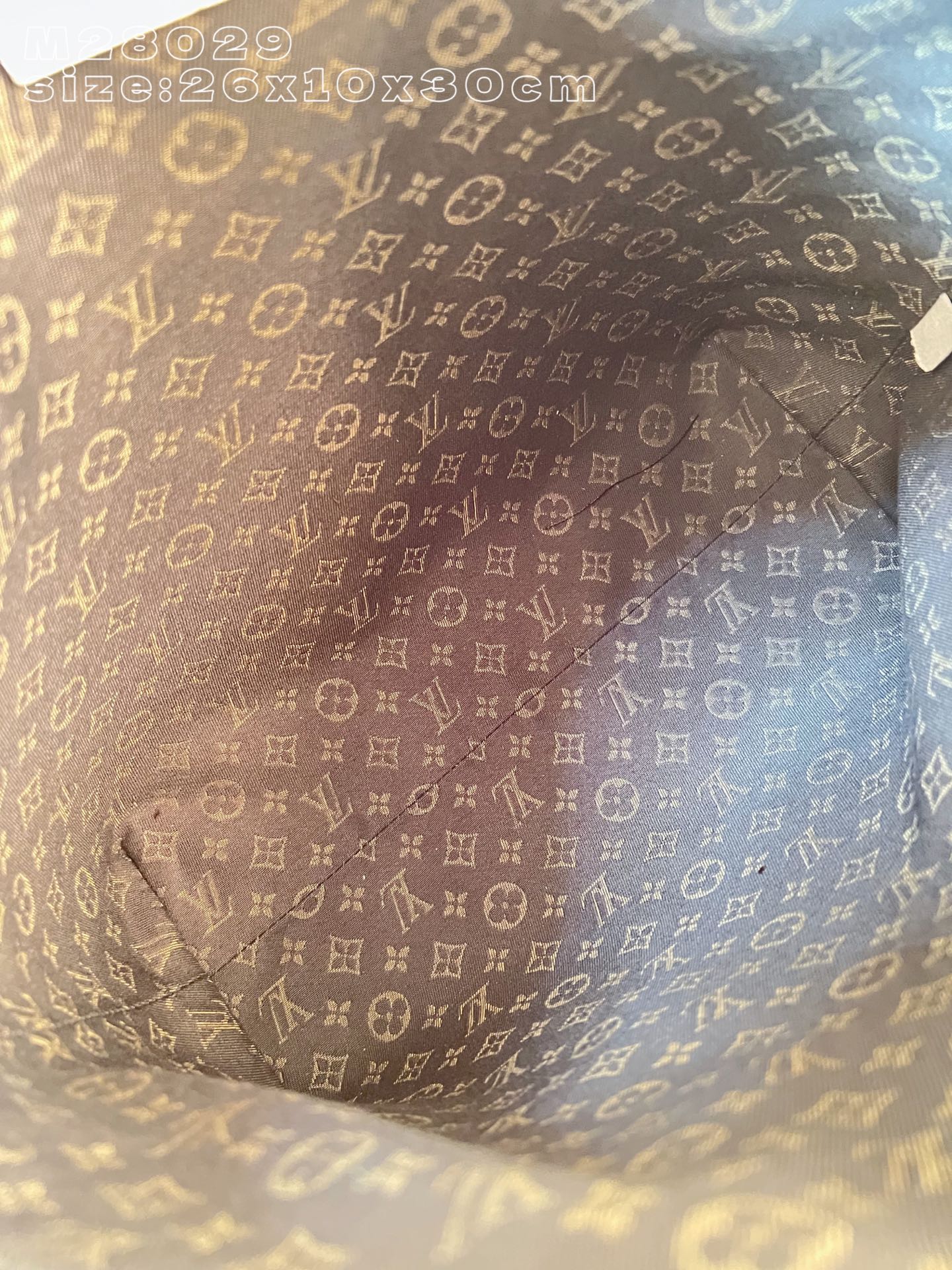 Louis Vuitton Basic Bag Canvas M-l-s