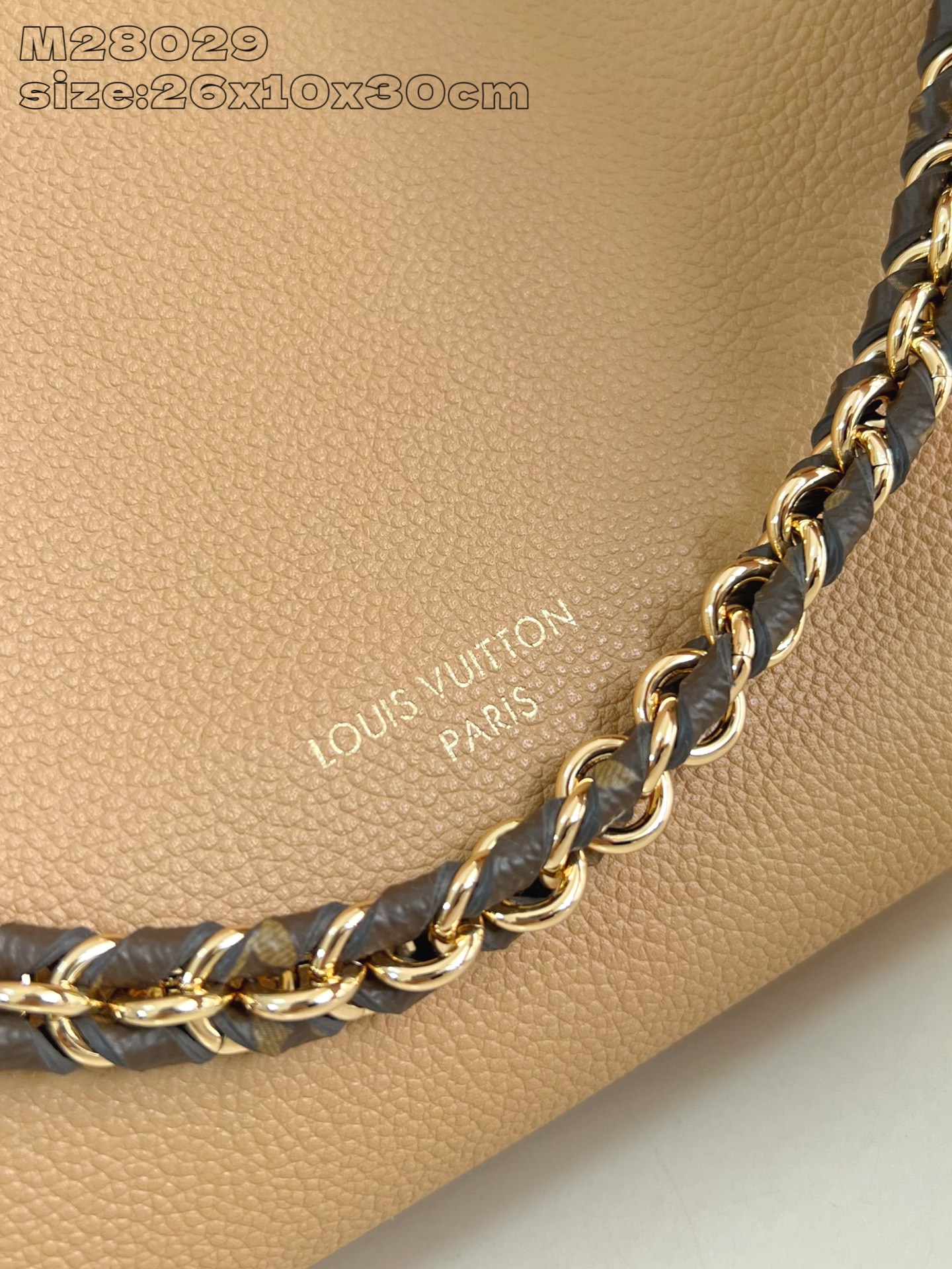 Louis Vuitton Basic Bag Canvas M-l-s