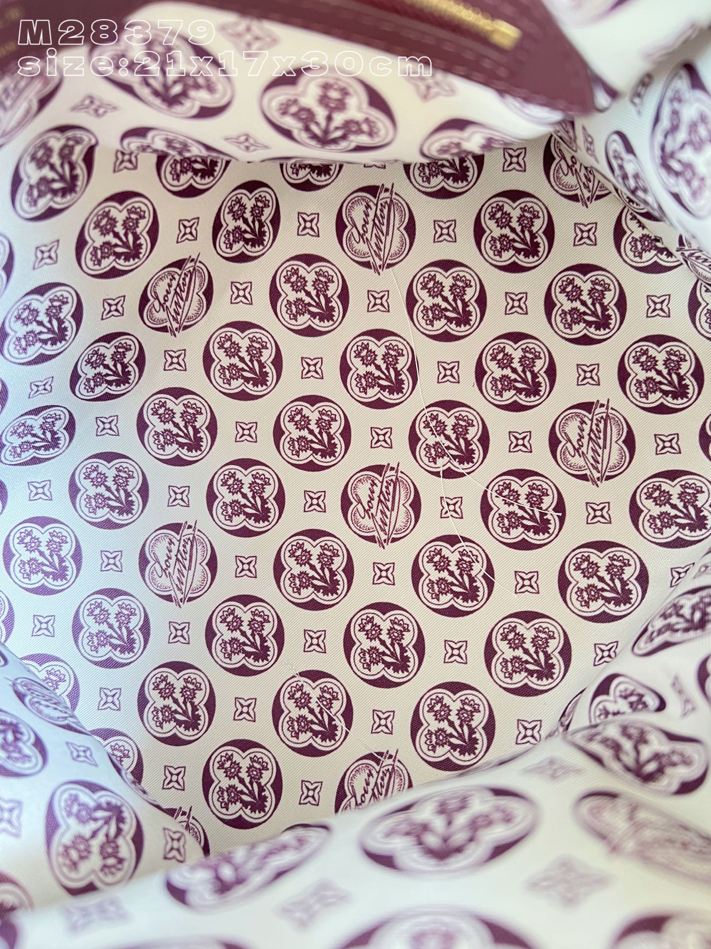 Louis Vuitton Basic Bag Cow Leather M-s