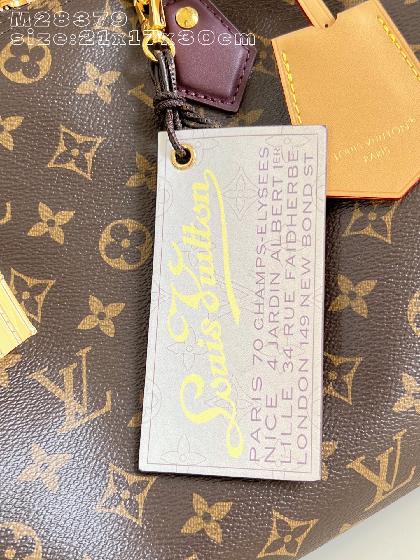 Louis Vuitton Basic Bag Cow Leather M-s