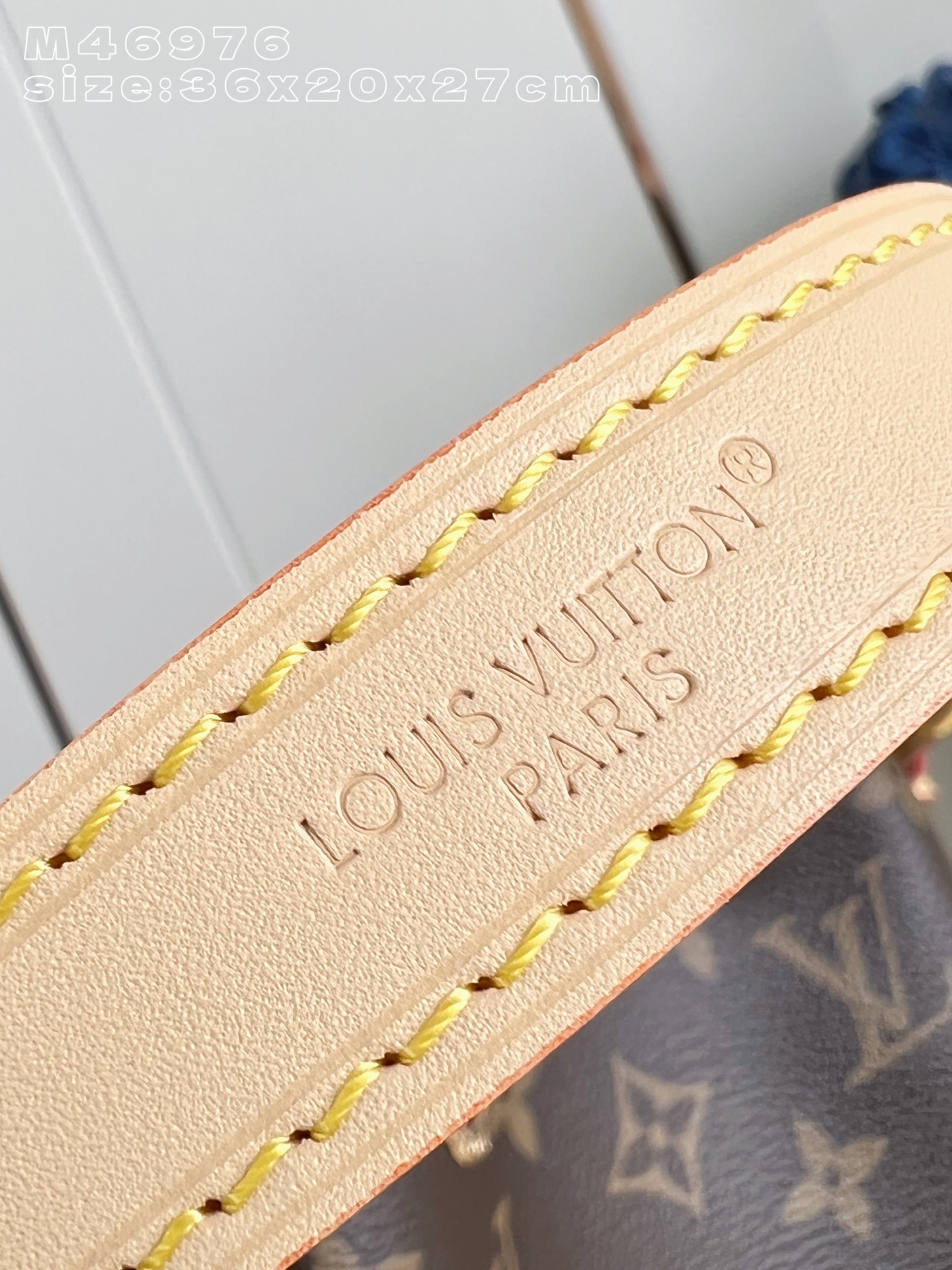 Louis Vuitton Bucket Bag Canvas M-l-s