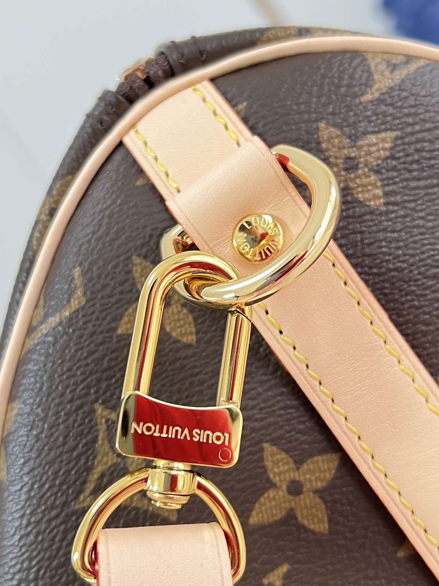 Louis Vuitton Basic Bag Canvas M-l-s