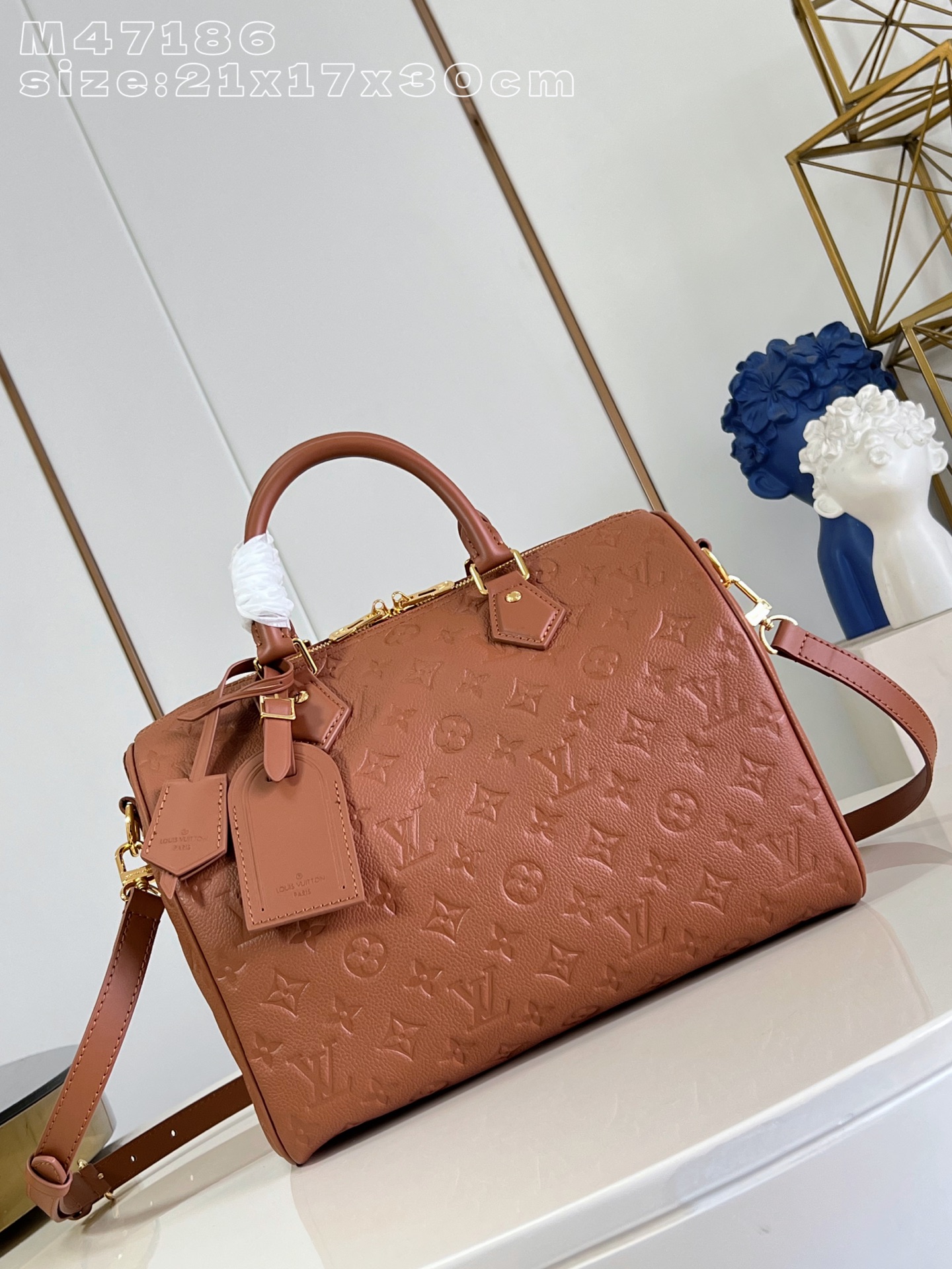 Louis Vuitton Basic Bag Cow Leather M-s