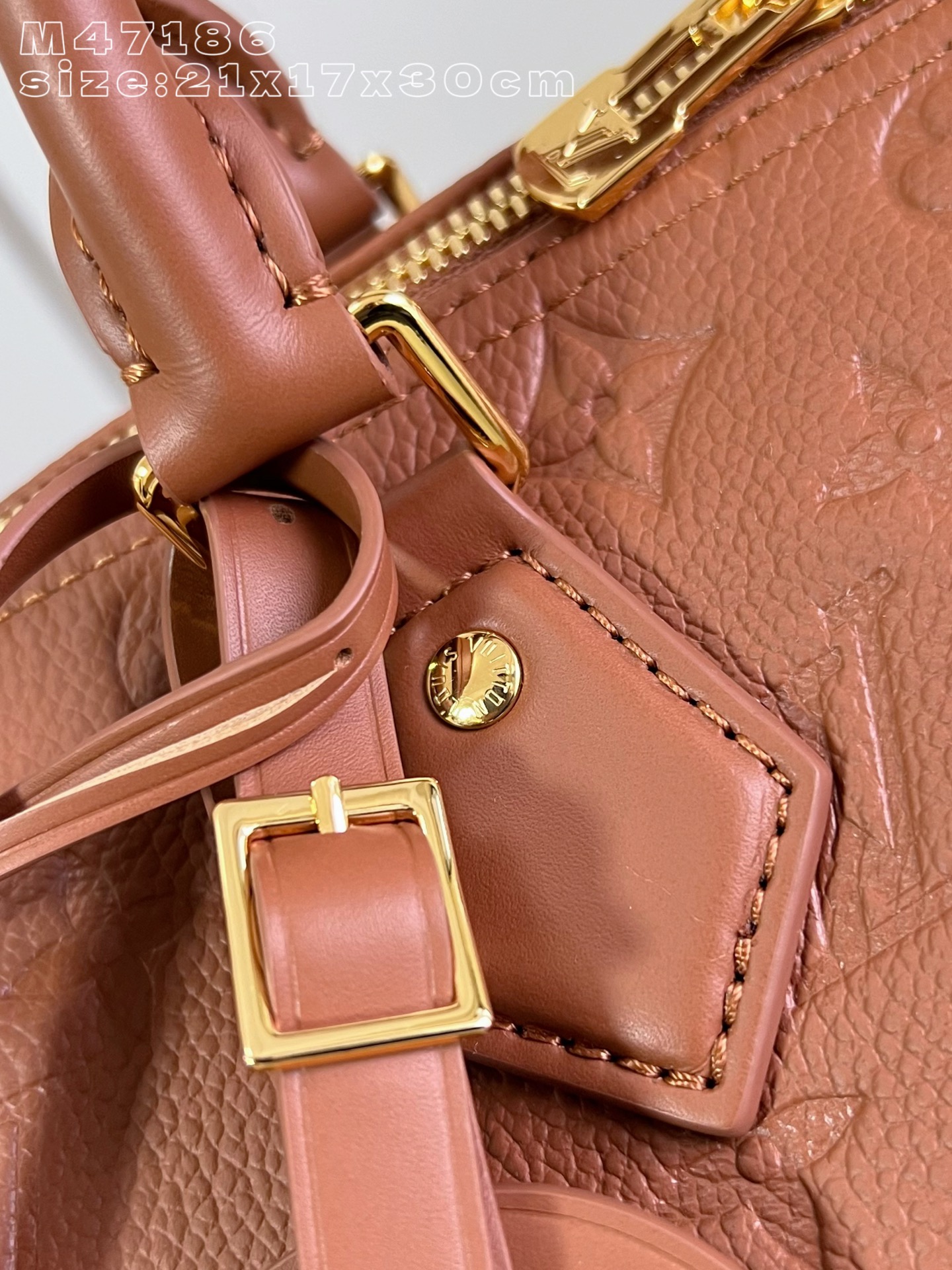 Louis Vuitton Basic Bag Cow Leather M-s