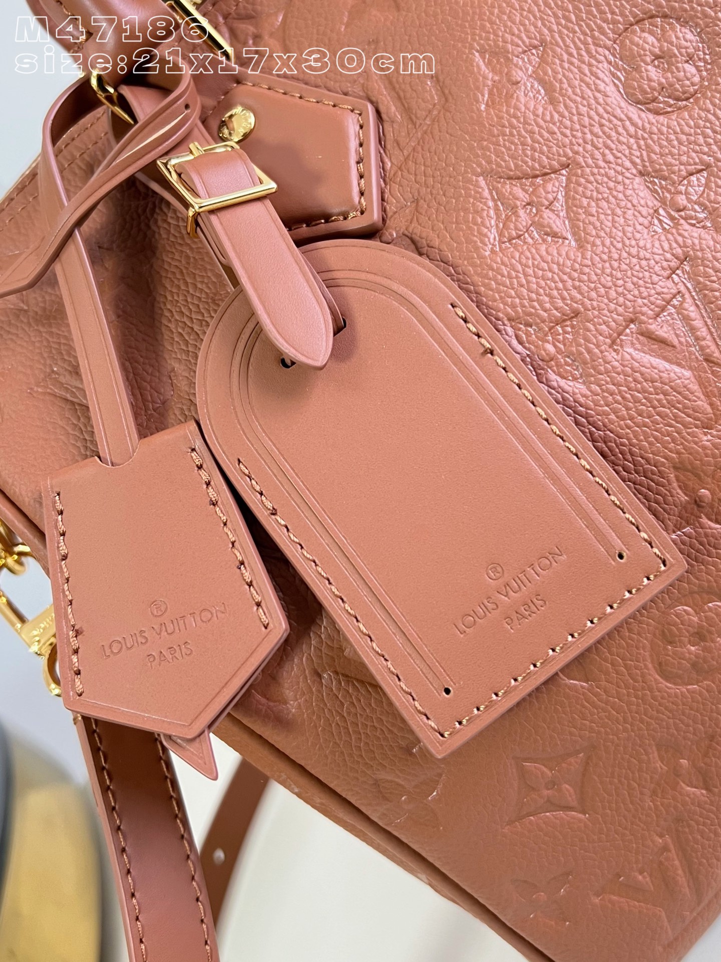 Louis Vuitton Basic Bag Cow Leather M-s