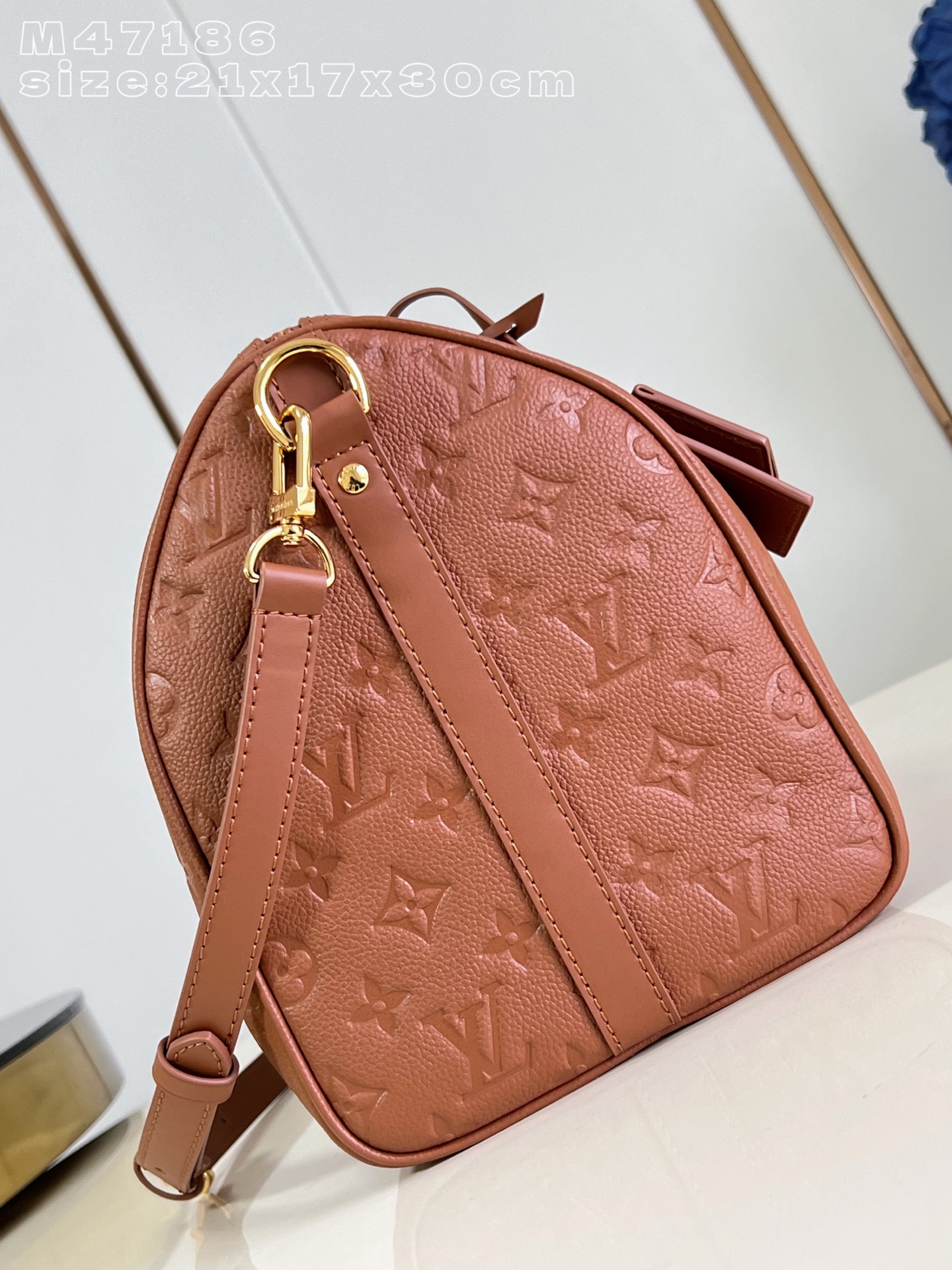 Louis Vuitton Basic Bag Cow Leather M-s
