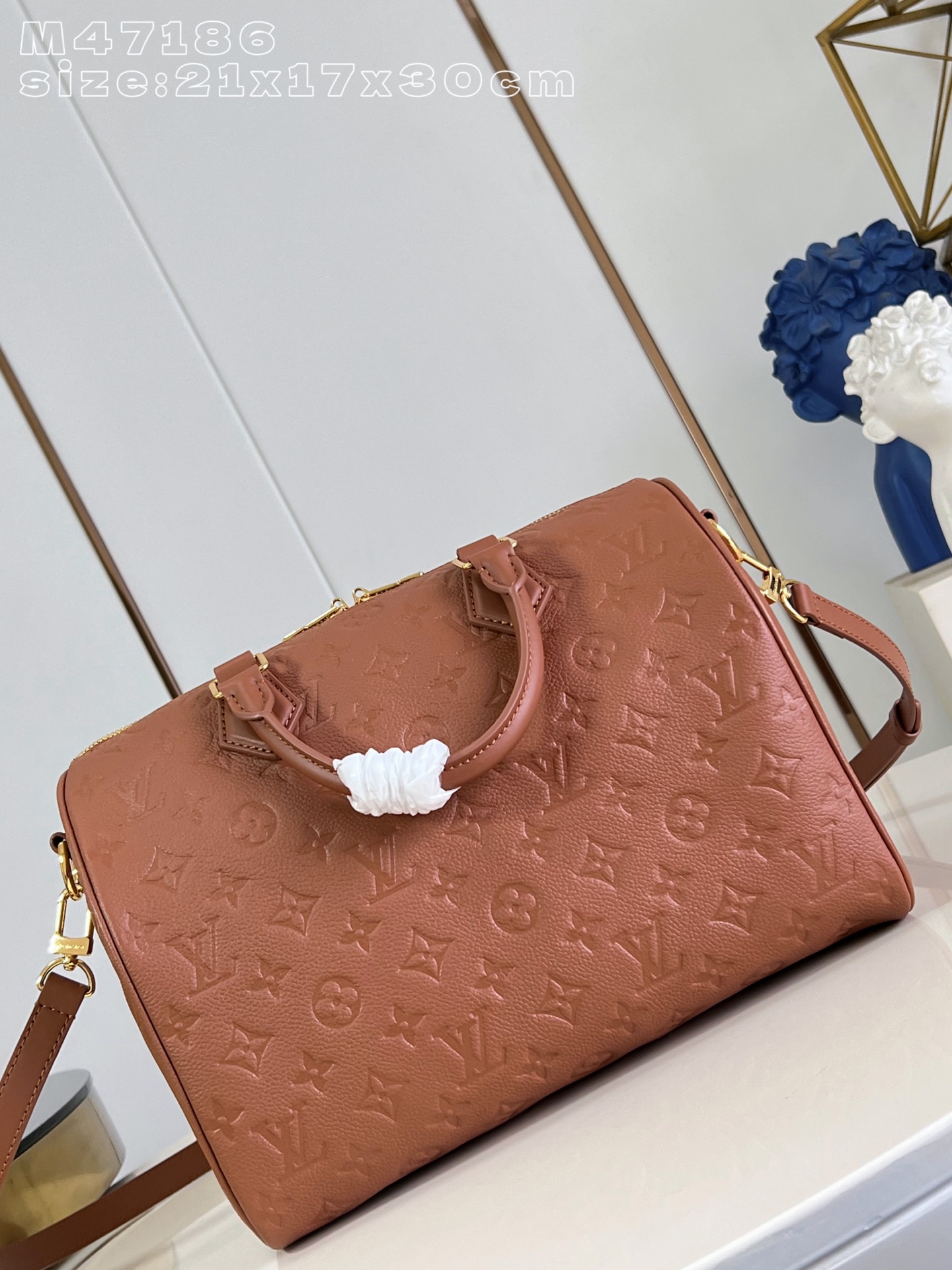 Louis Vuitton Basic Bag Cow Leather M-s