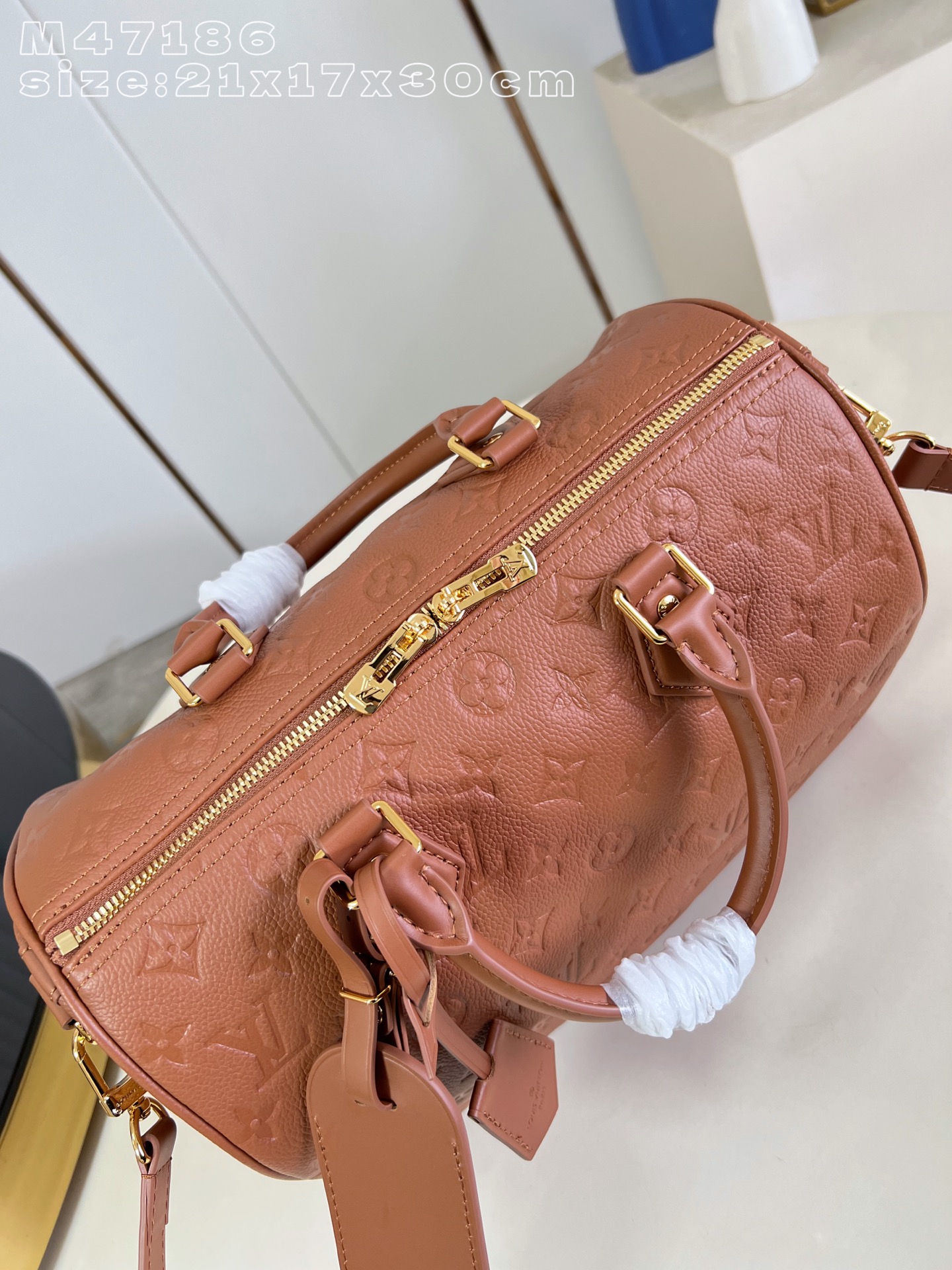 Louis Vuitton Basic Bag Cow Leather M-s