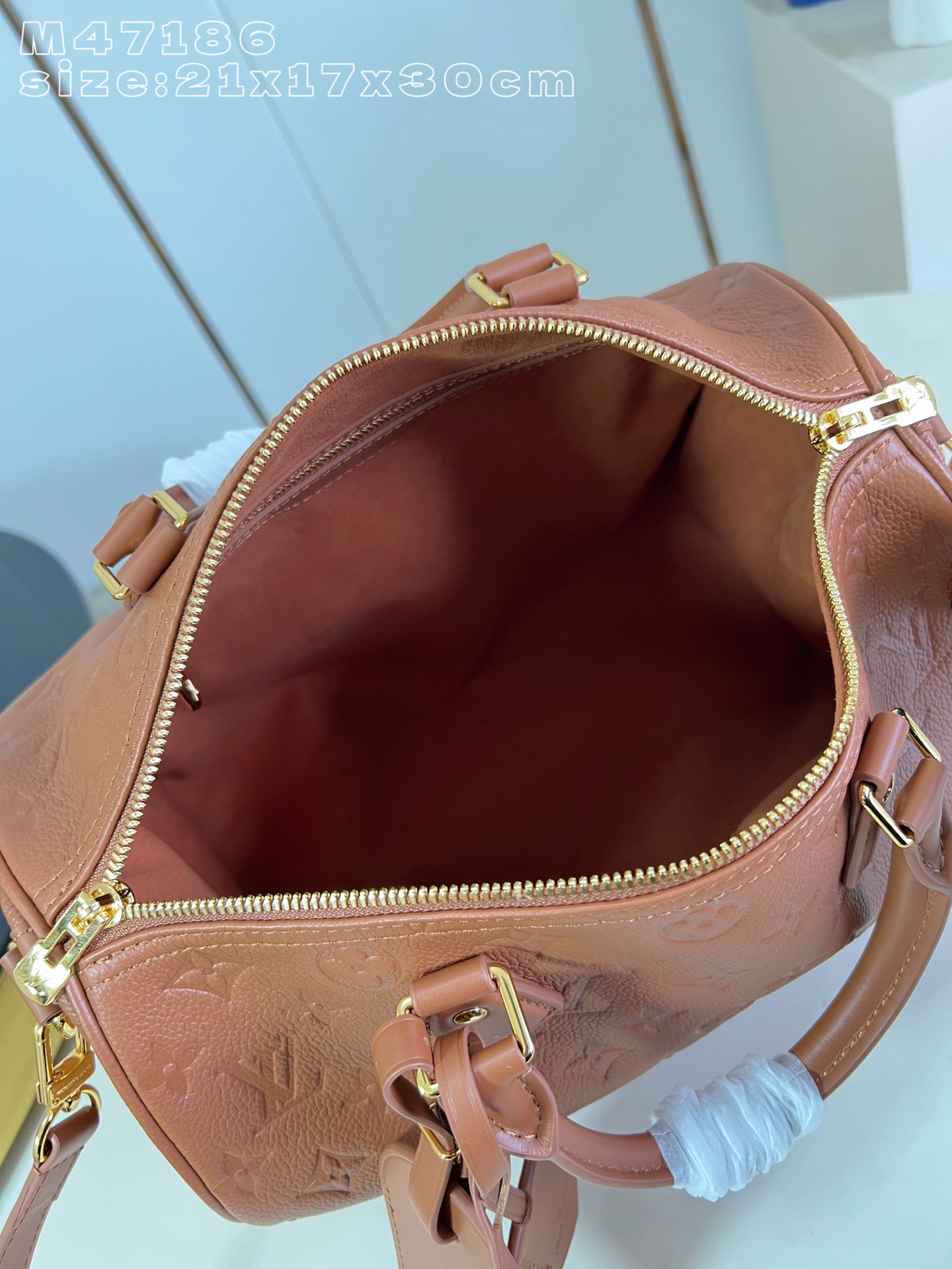 Louis Vuitton Basic Bag Cow Leather M-s