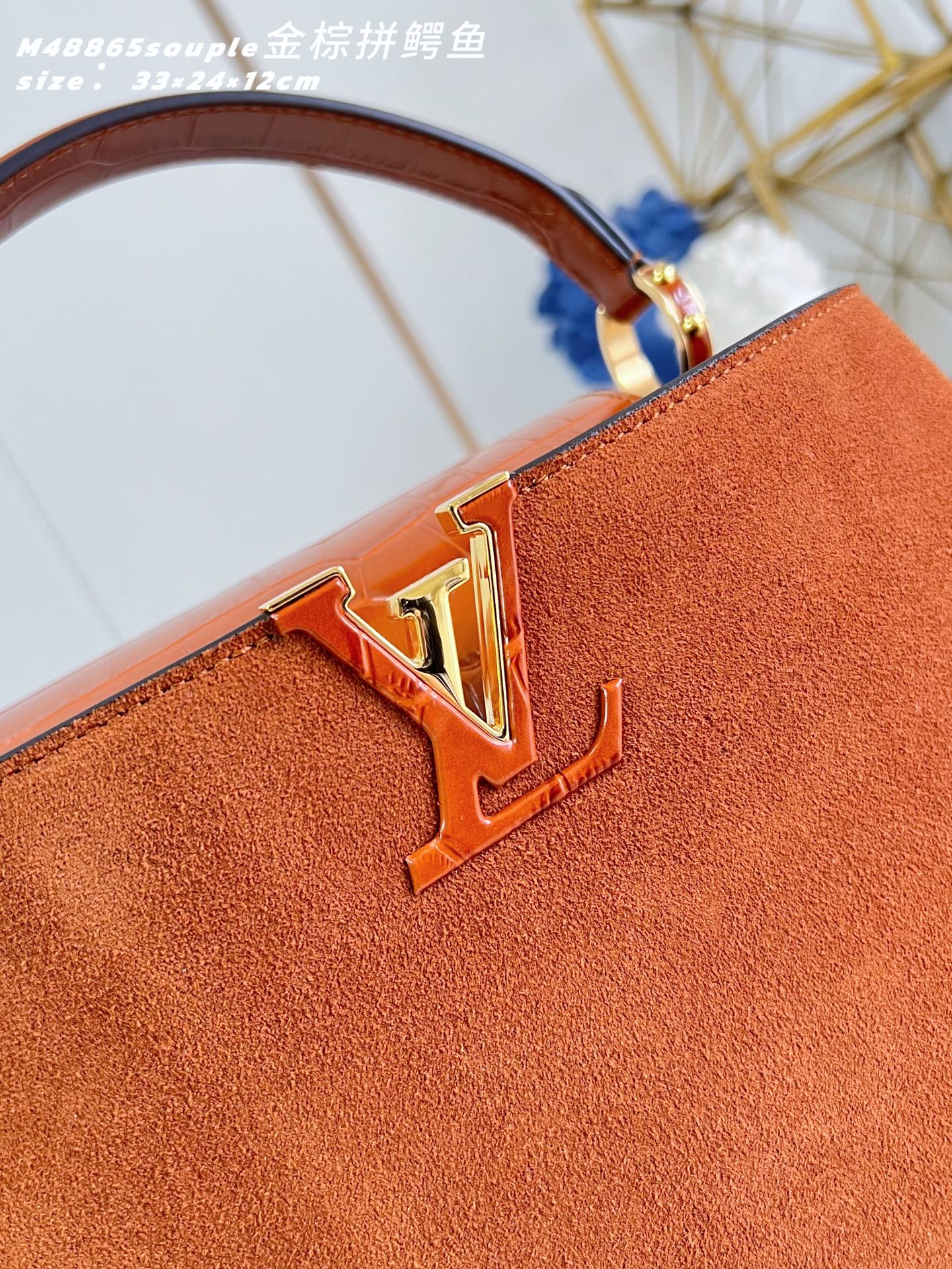 Louis Vuitton Basic Bag Cow Leather M-l-s