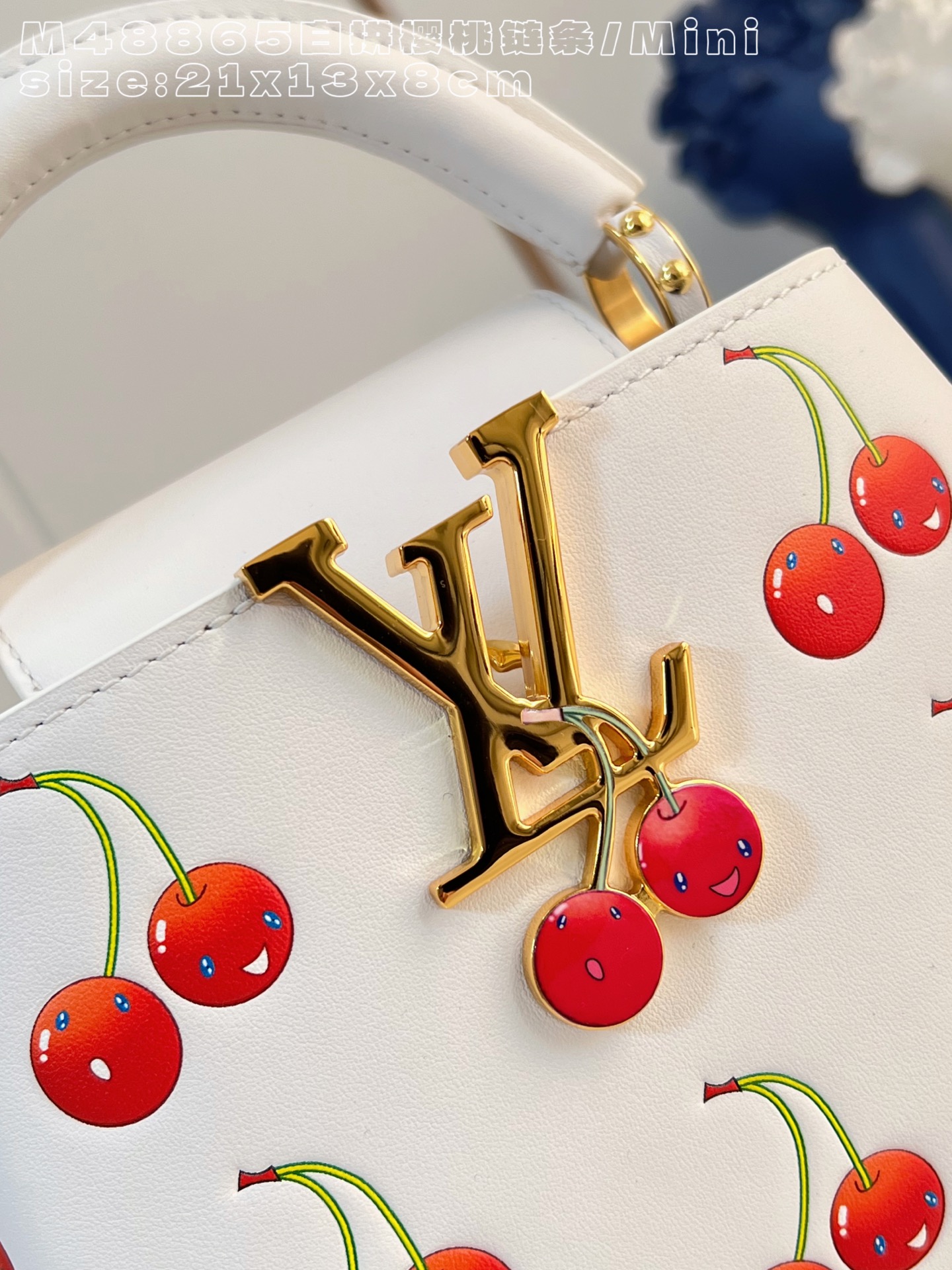 Louis Vuitton Basic Bag Cow Leather M-l-s