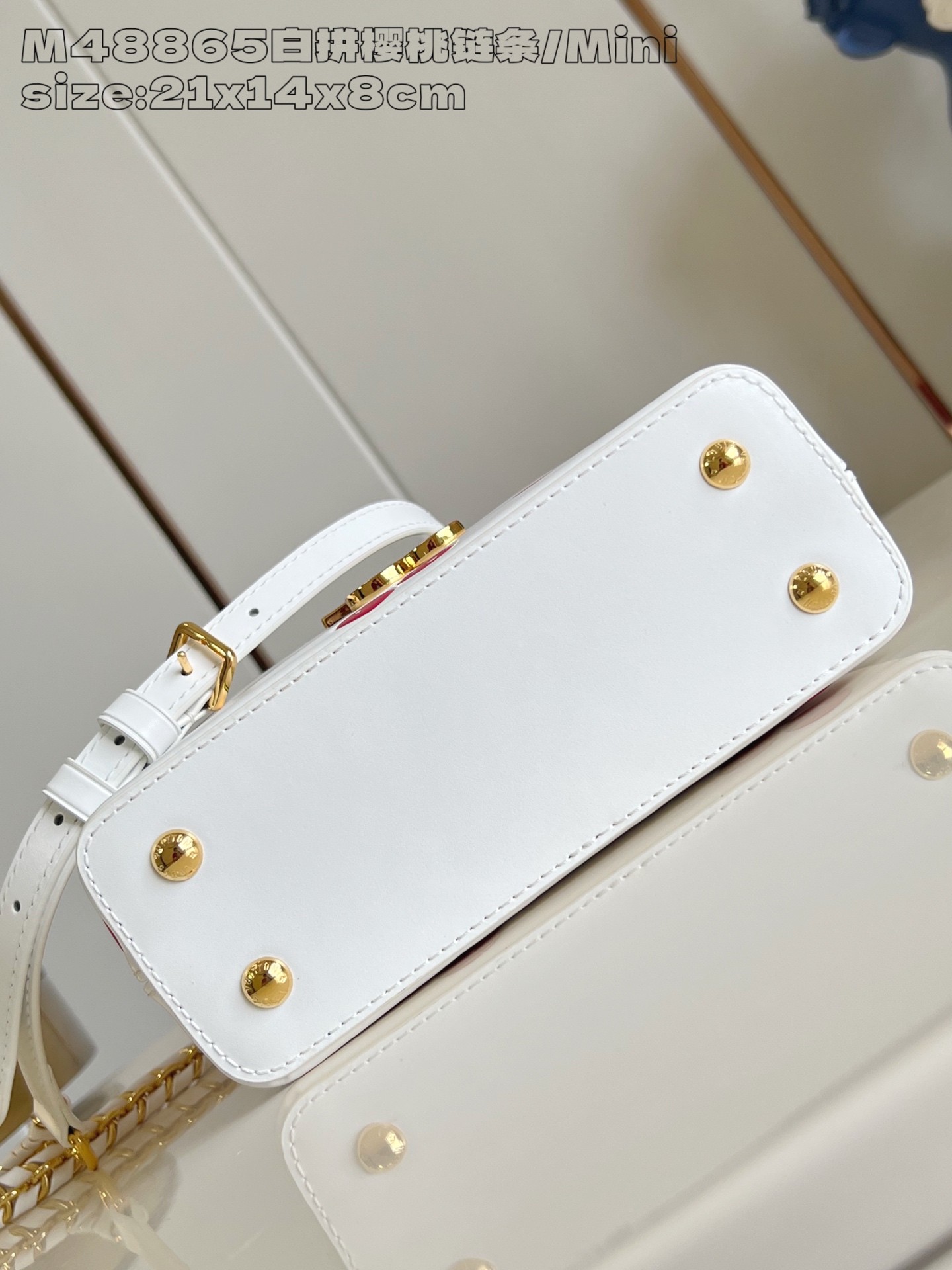 Louis Vuitton Basic Bag Cow Leather M-l-s