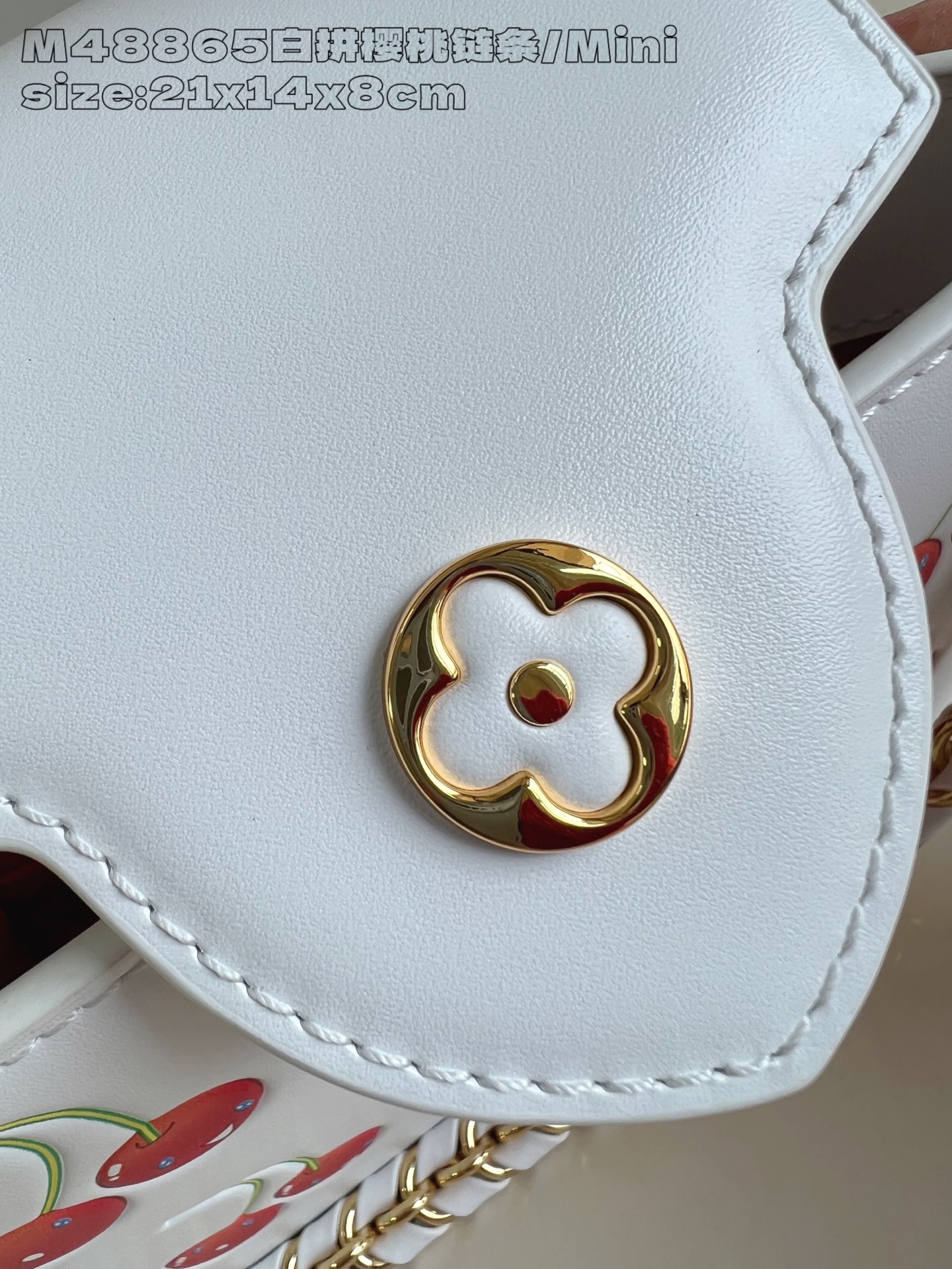 Louis Vuitton Basic Bag Cow Leather M-l-s