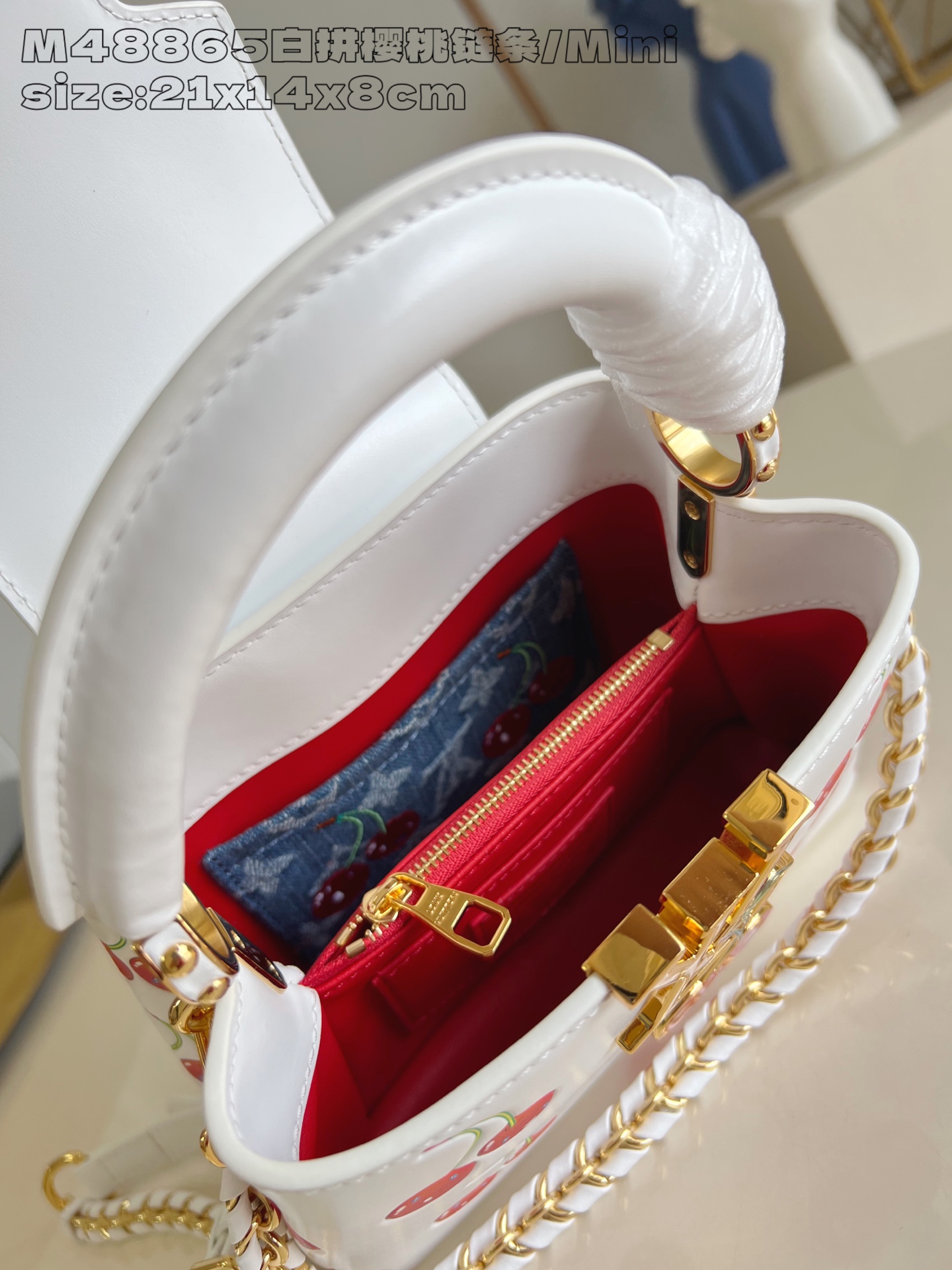 Louis Vuitton Basic Bag Cow Leather M-l-s