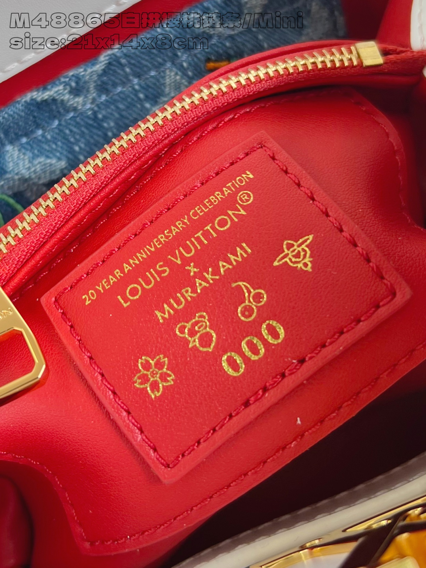 Louis Vuitton Basic Bag Cow Leather M-l-s