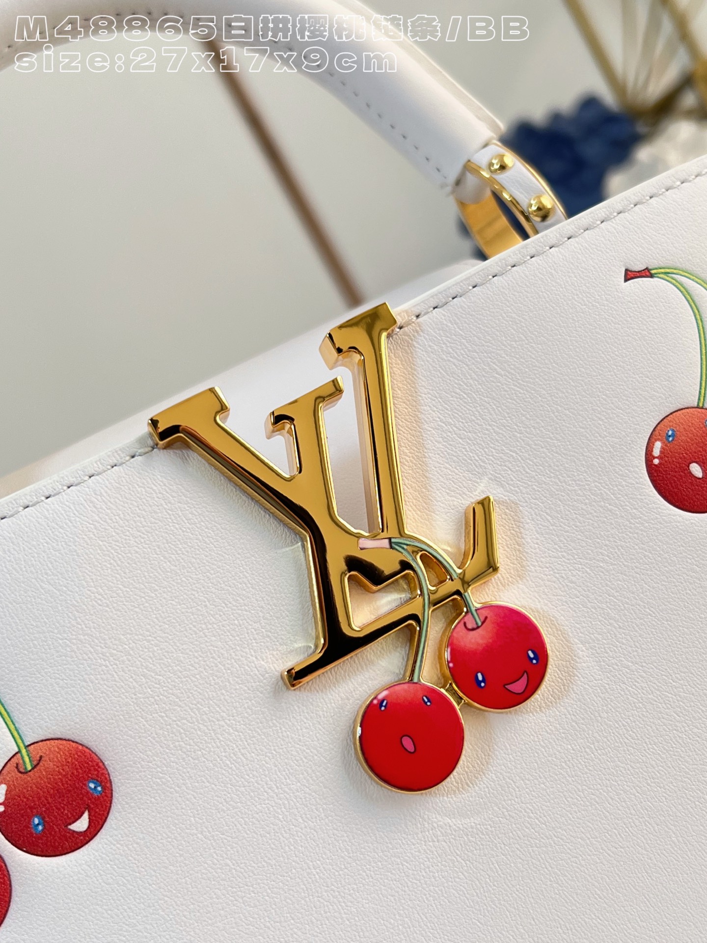 Louis Vuitton Basic Bag Cow Leather M-l-s