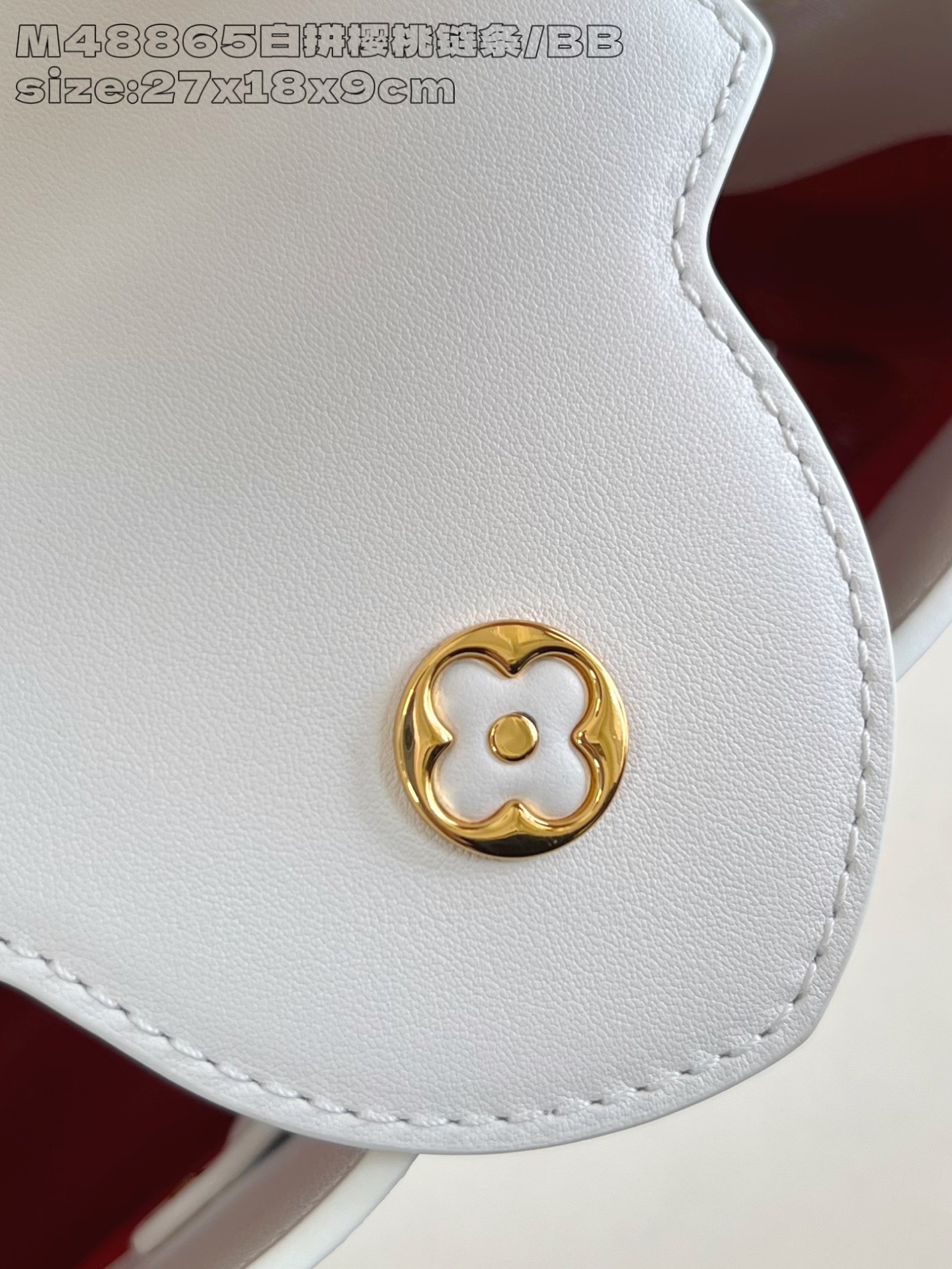 Louis Vuitton Basic Bag Cow Leather M-l-s