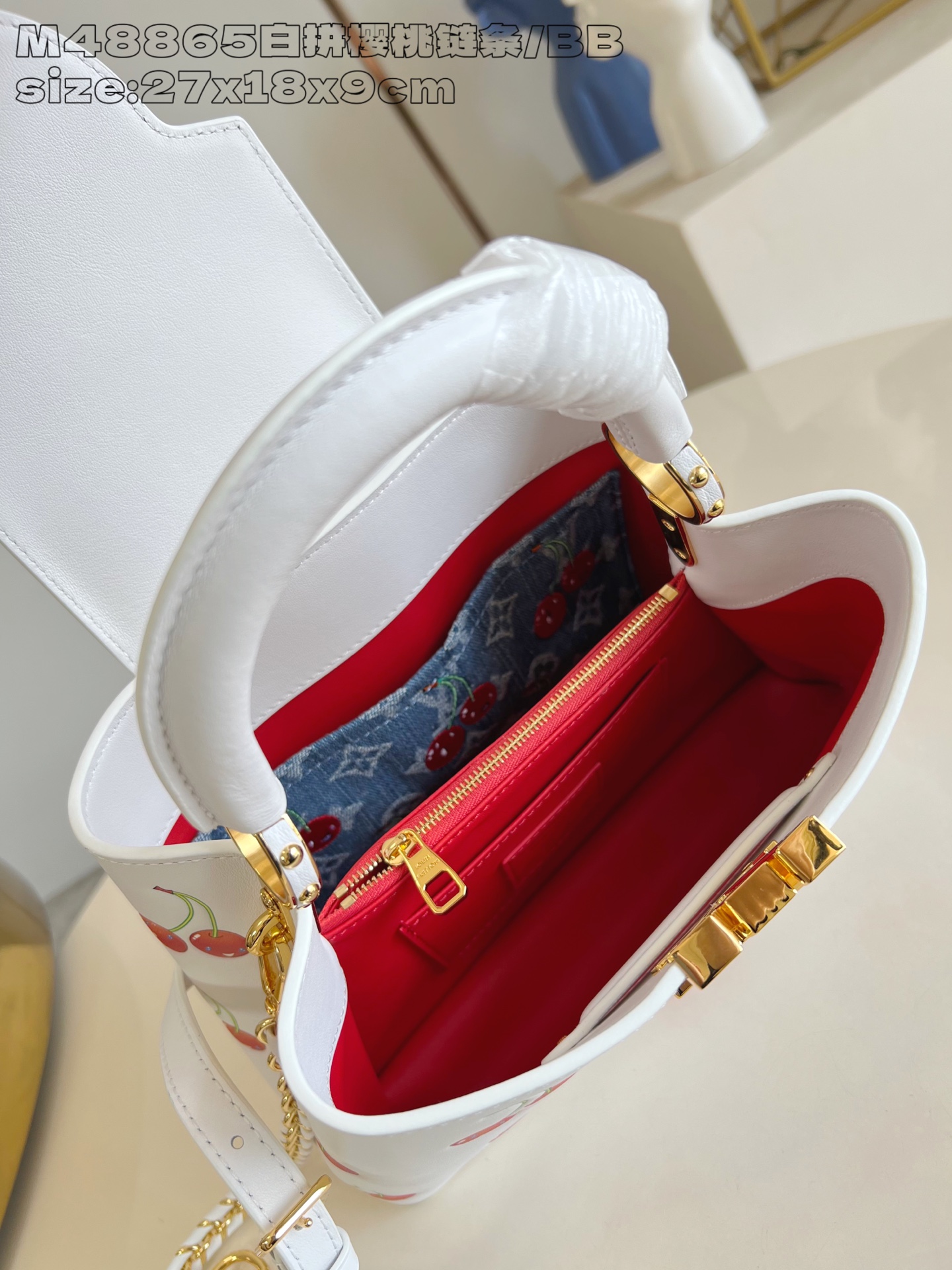 Louis Vuitton Basic Bag Cow Leather M-l-s