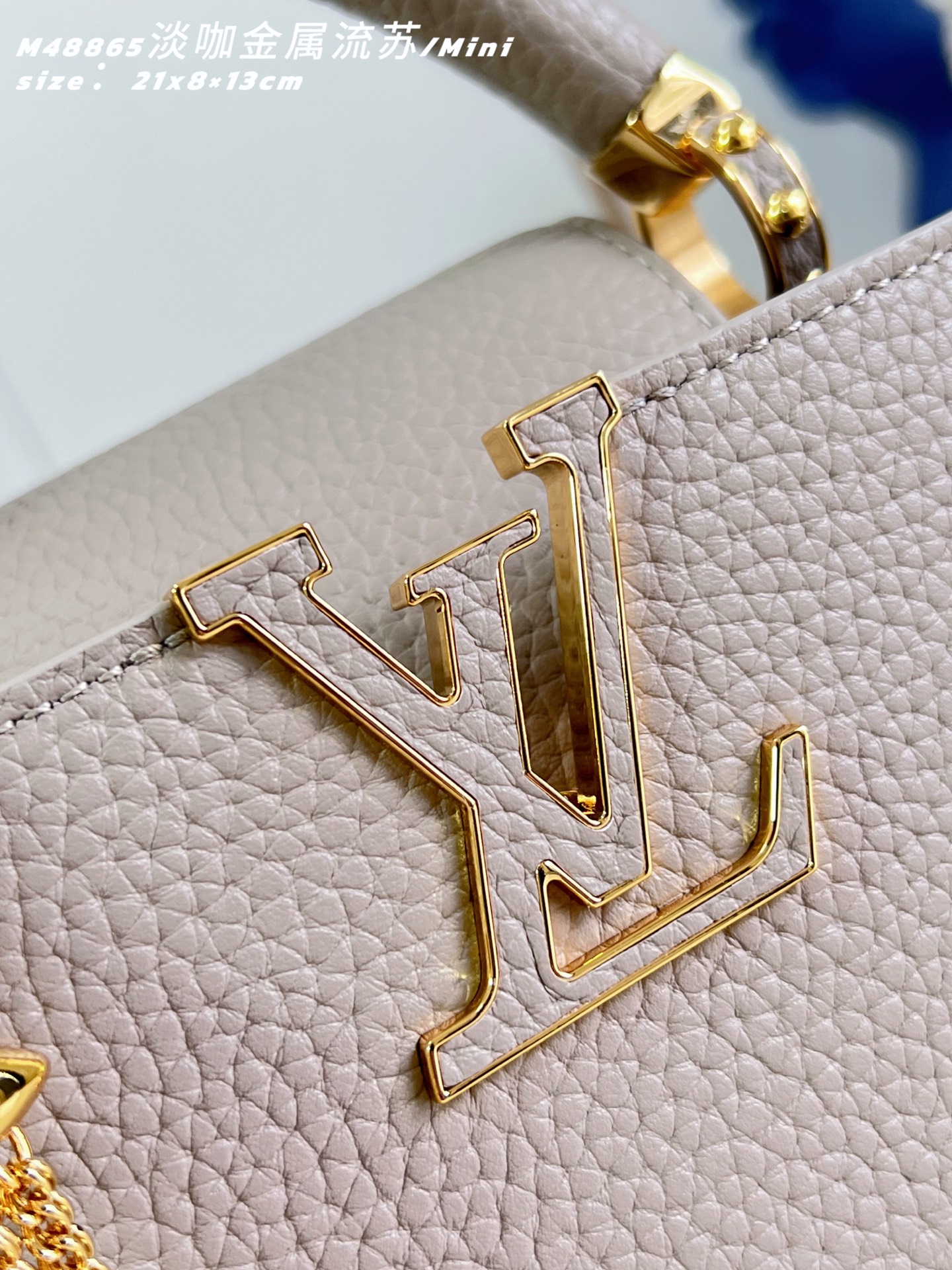 Louis Vuitton Basic Bag Cow Leather M-l-s