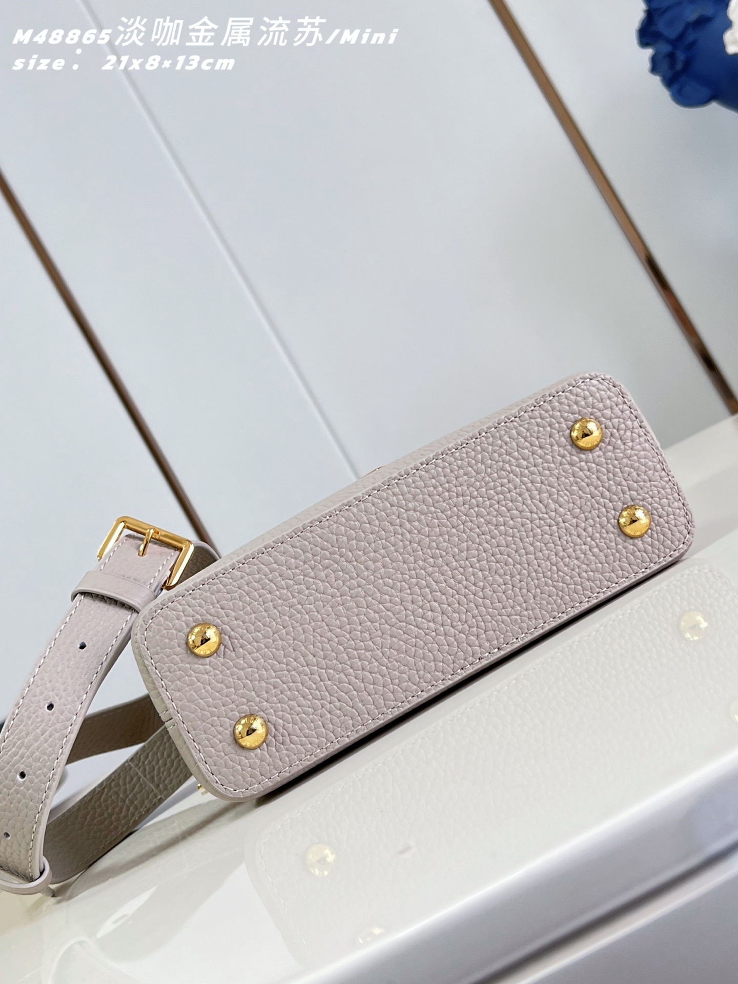 Louis Vuitton Basic Bag Cow Leather M-l-s