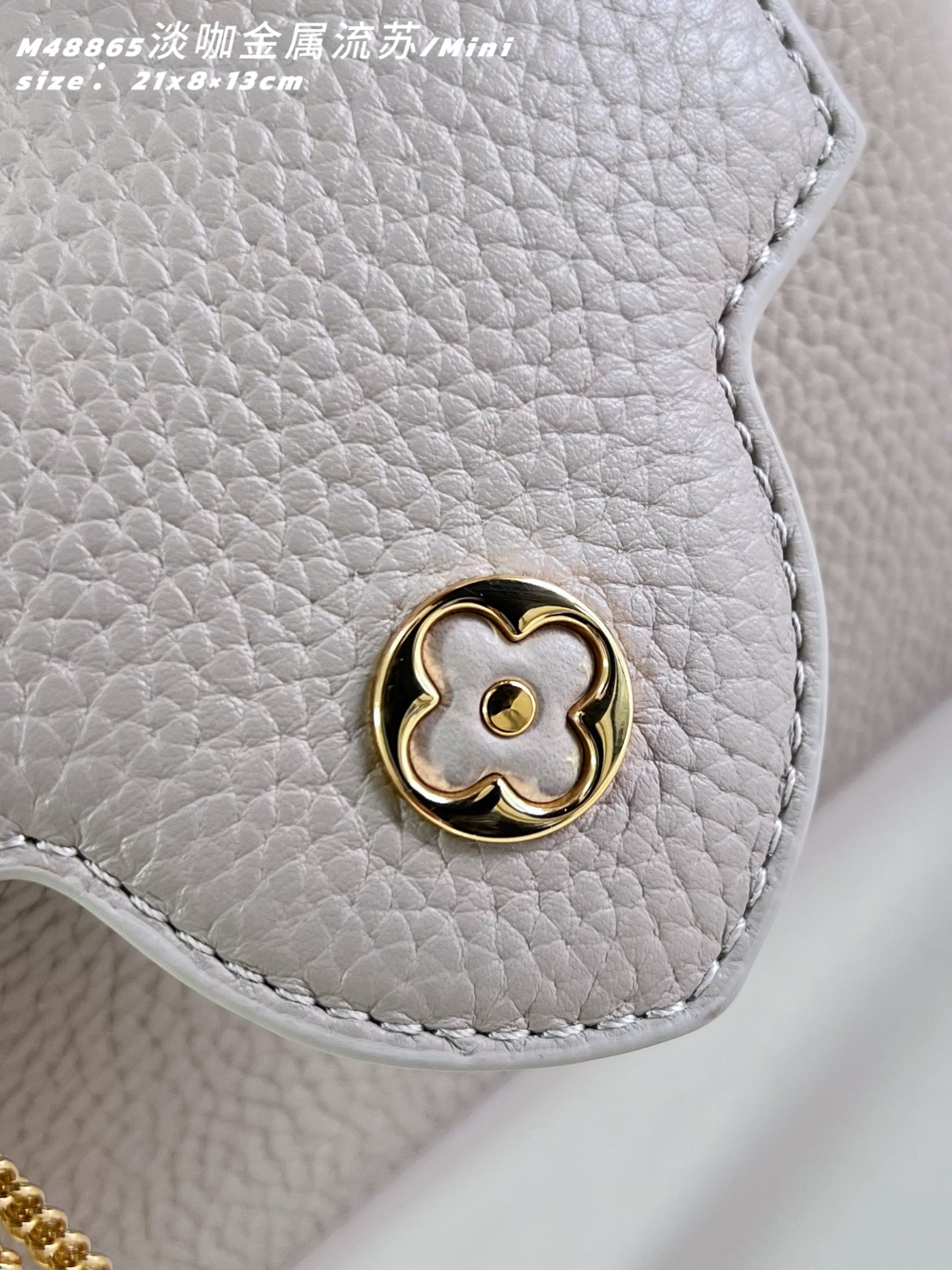 Louis Vuitton Basic Bag Cow Leather M-l-s