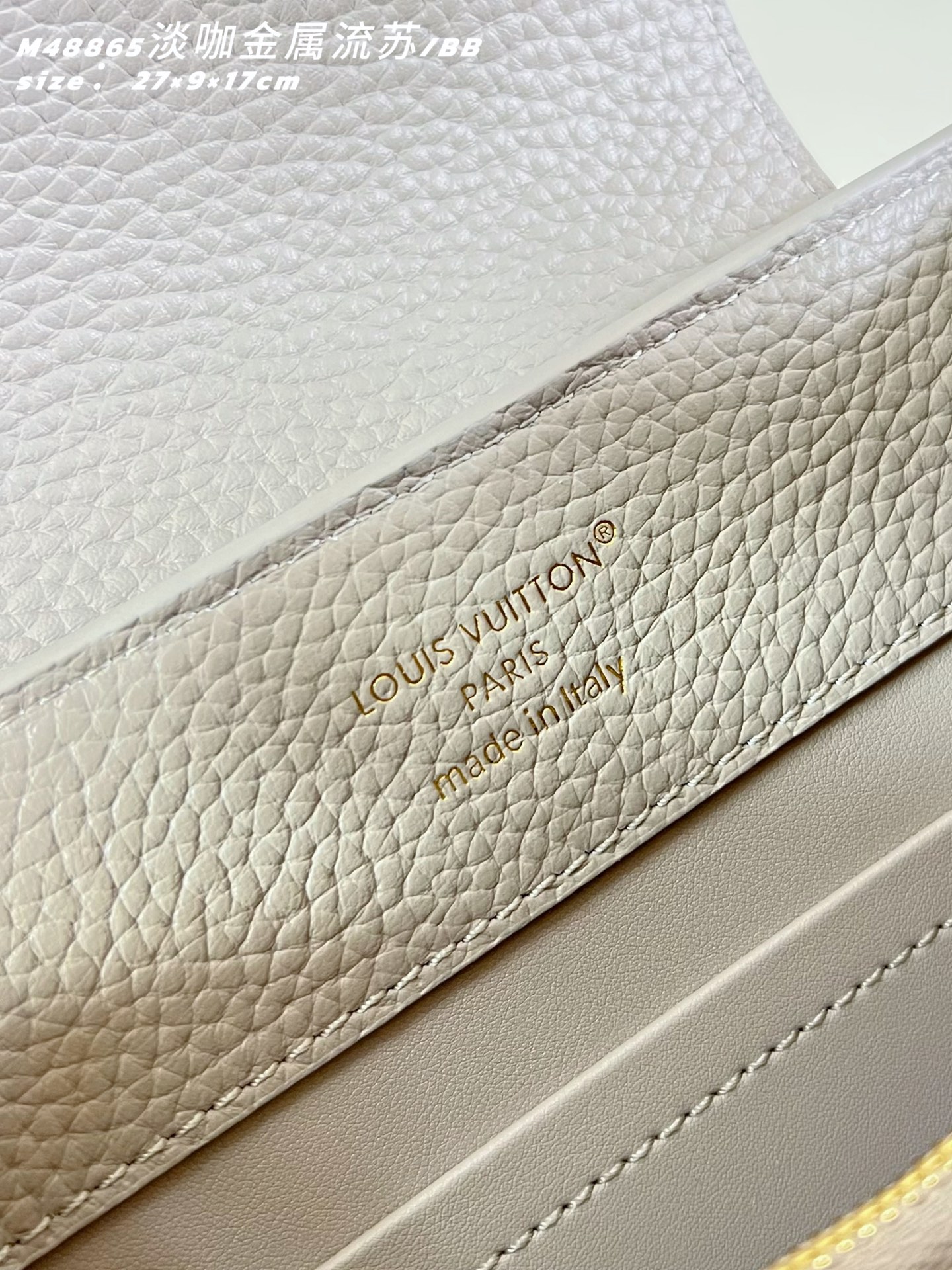 Louis Vuitton Basic Bag Cow Leather M-l-s