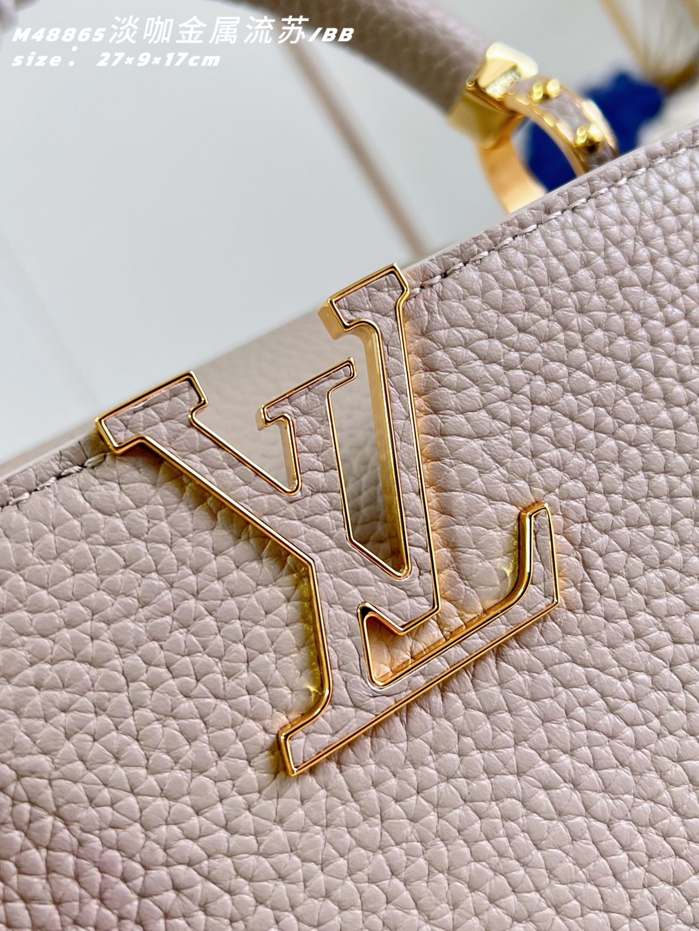 Louis Vuitton Basic Bag Cow Leather M-l-s