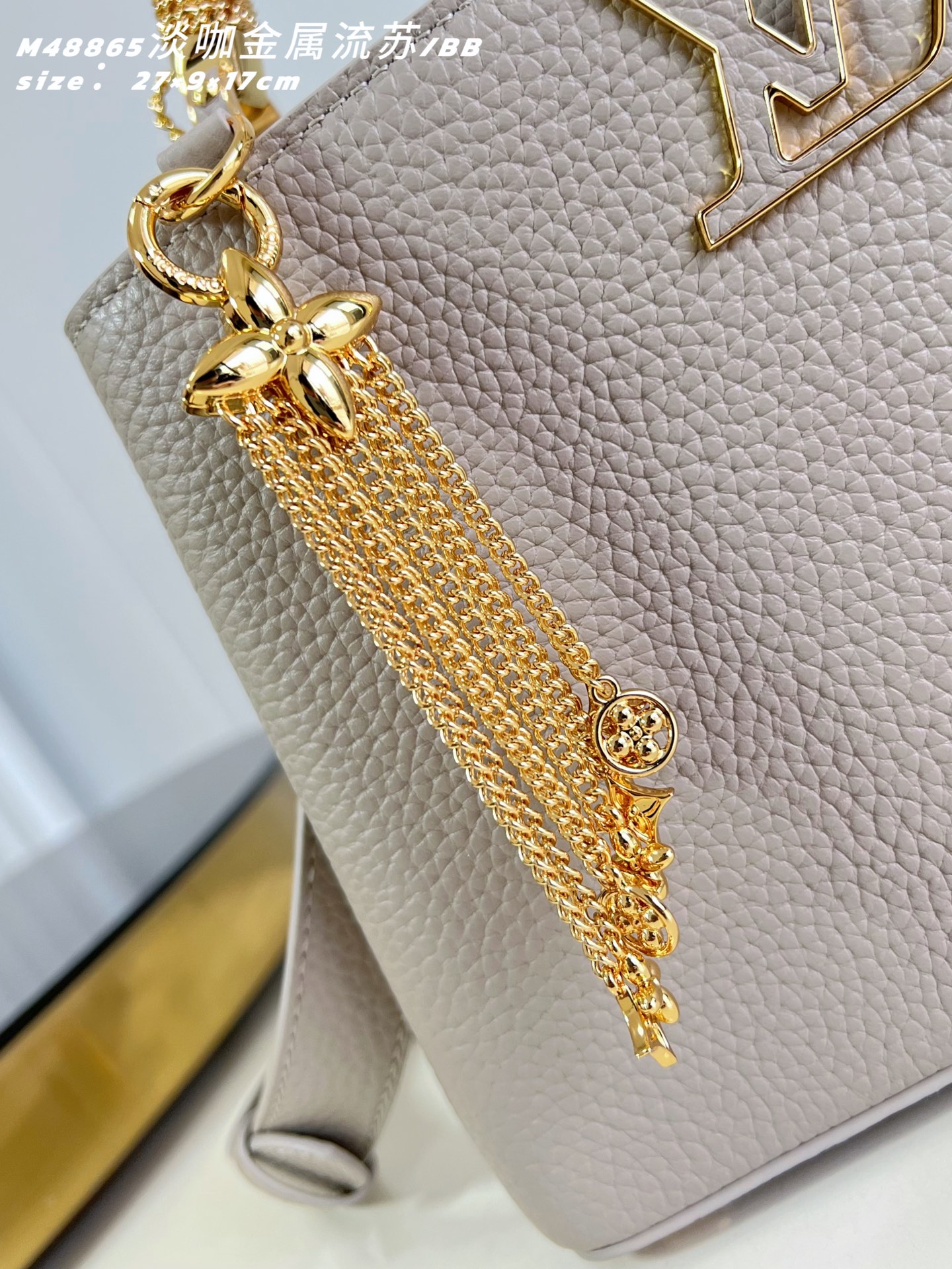 Louis Vuitton Basic Bag Cow Leather M-l-s