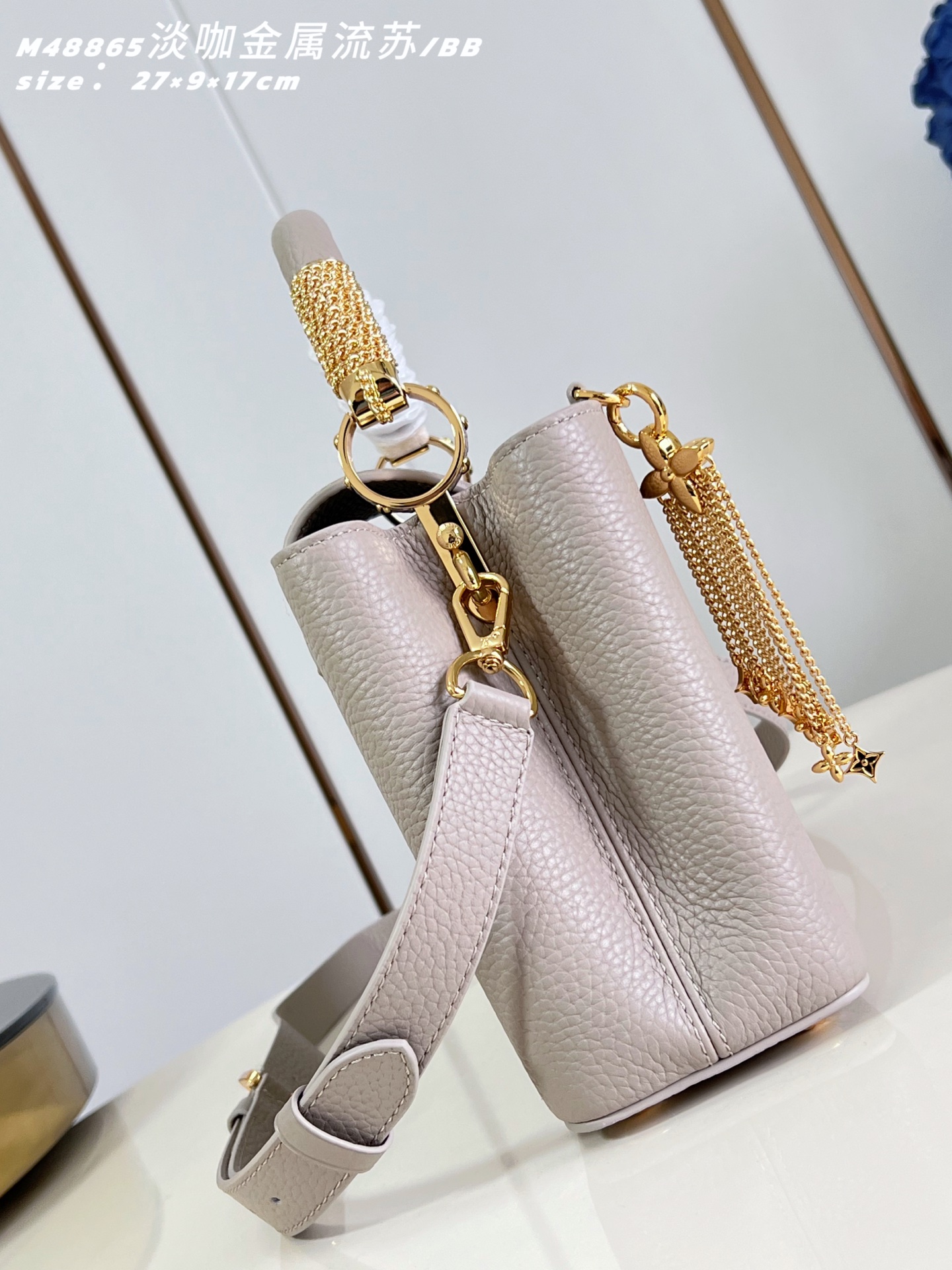 Louis Vuitton Basic Bag Cow Leather M-l-s