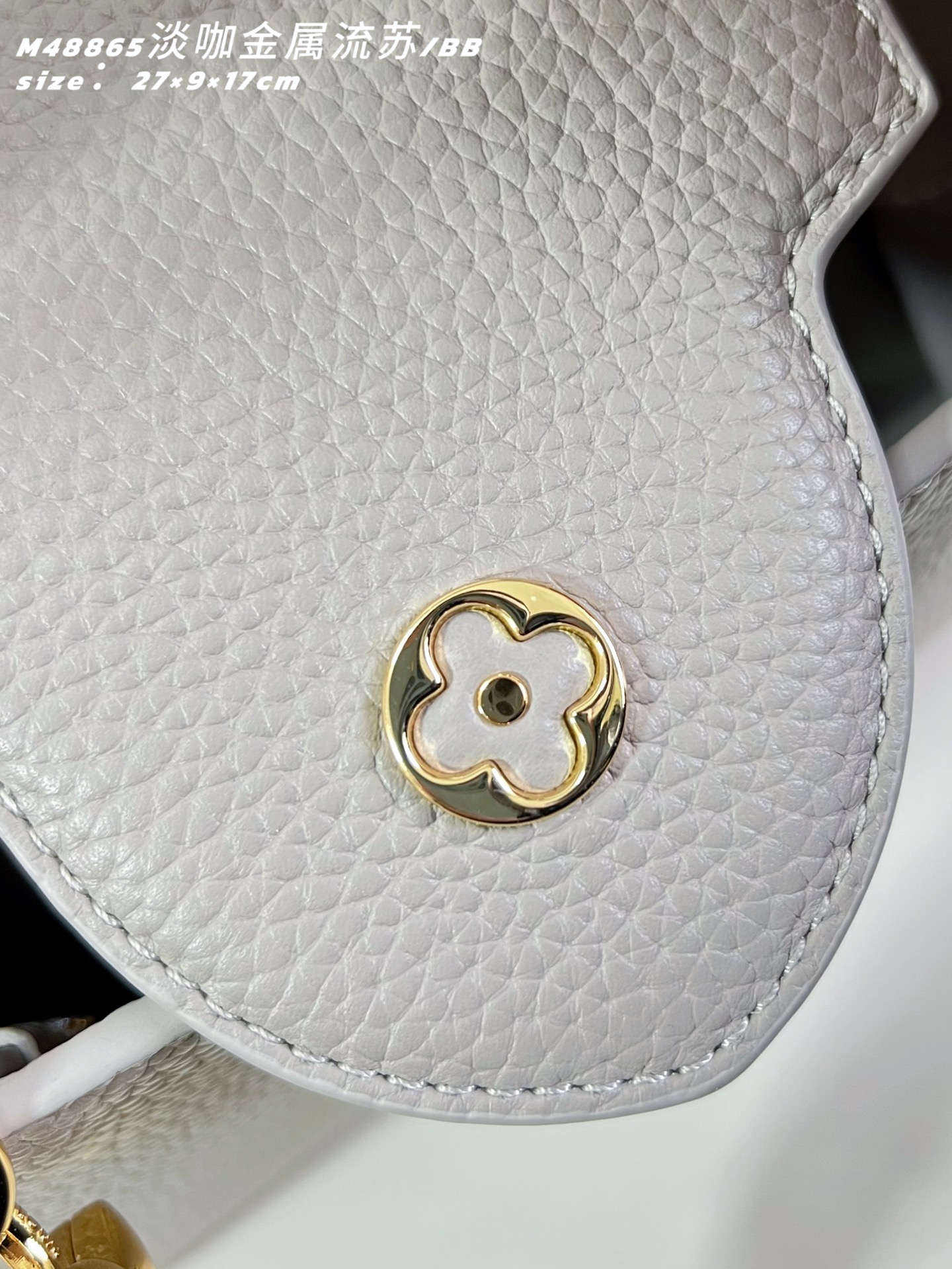 Louis Vuitton Basic Bag Cow Leather M-l-s