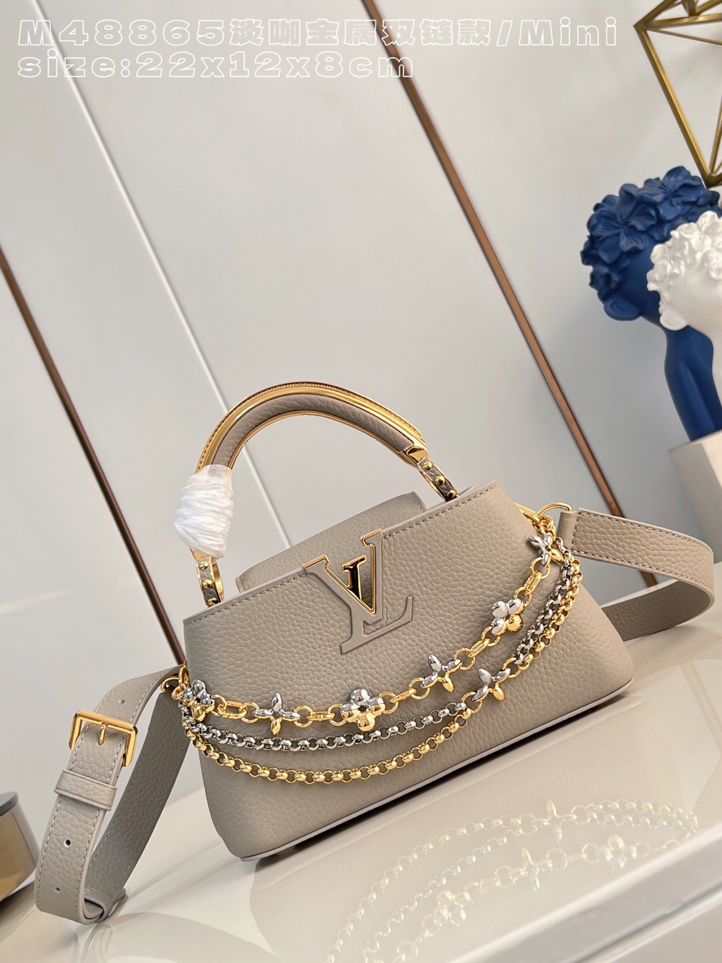 Louis Vuitton Basic Bag Cow Leather M-l-s