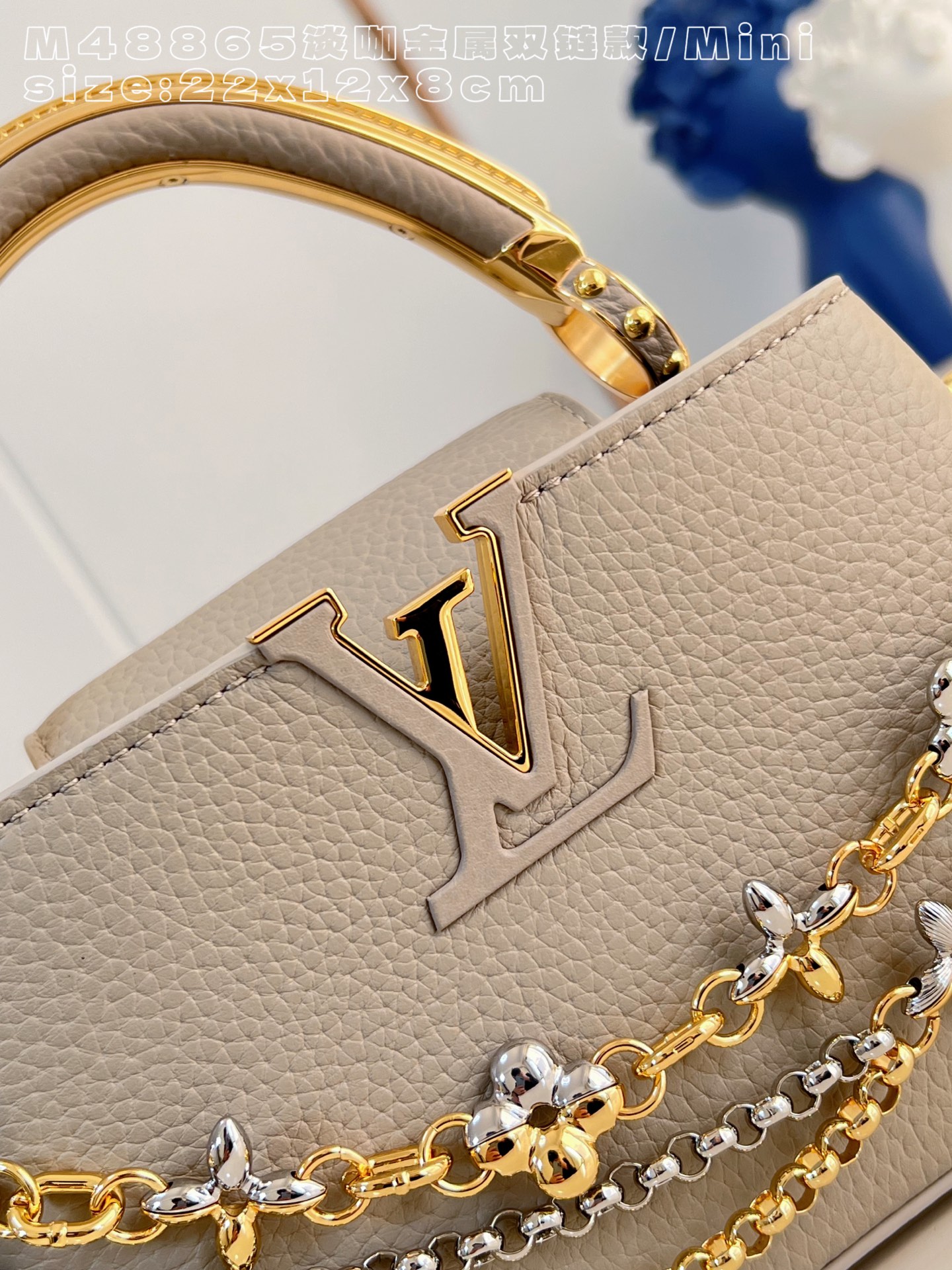 Louis Vuitton Basic Bag Cow Leather M-l-s