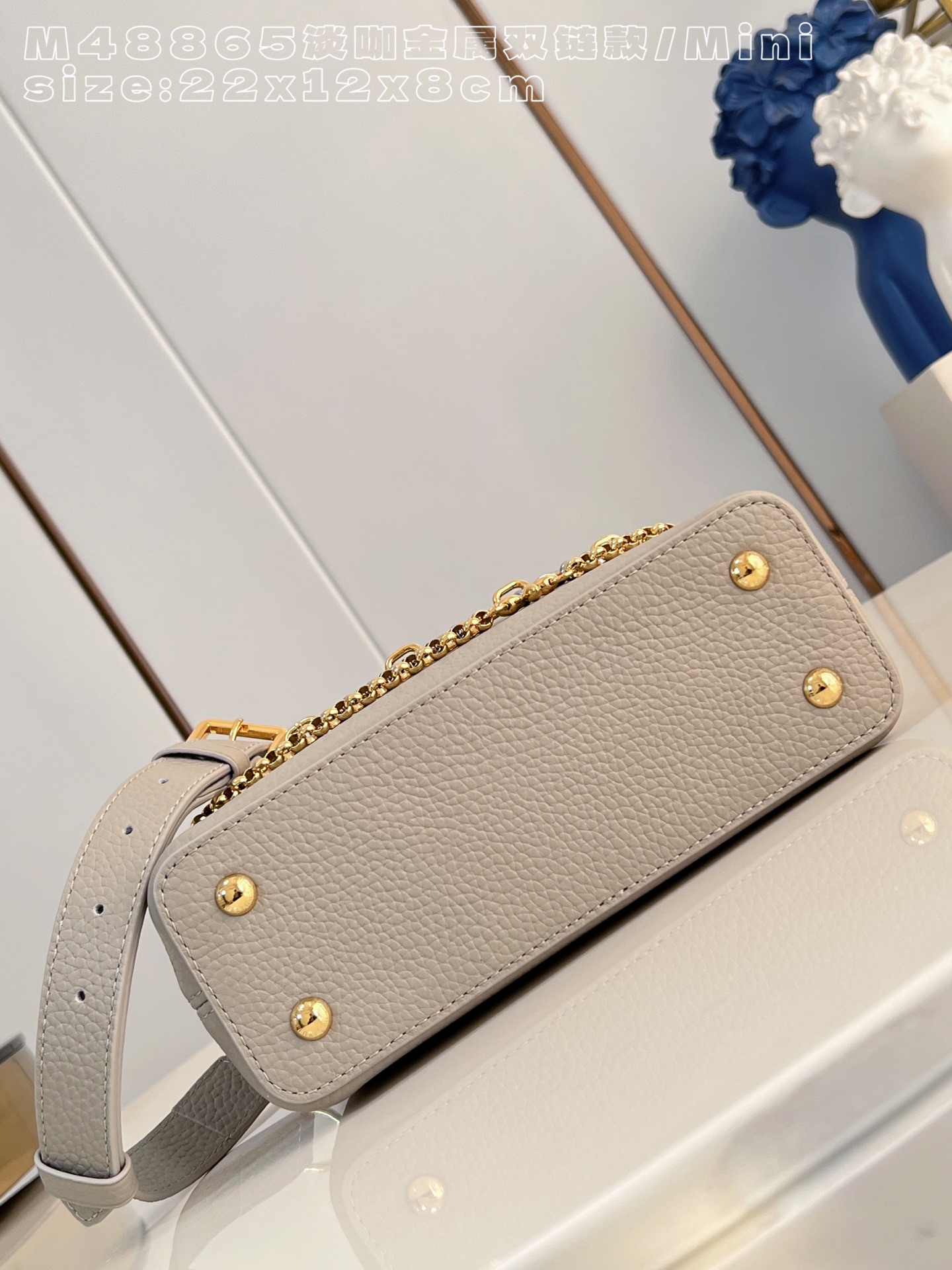 Louis Vuitton Basic Bag Cow Leather M-l-s