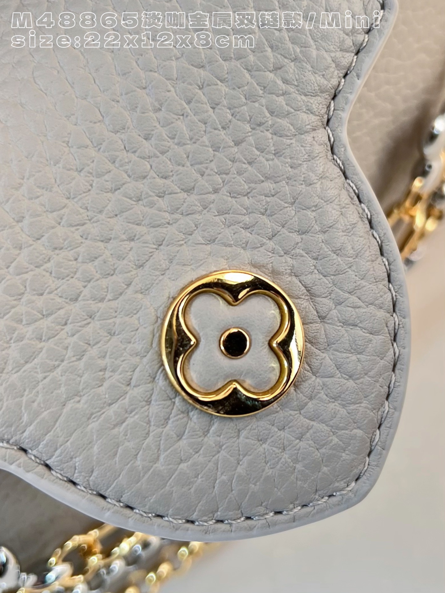 Louis Vuitton Basic Bag Cow Leather M-l-s