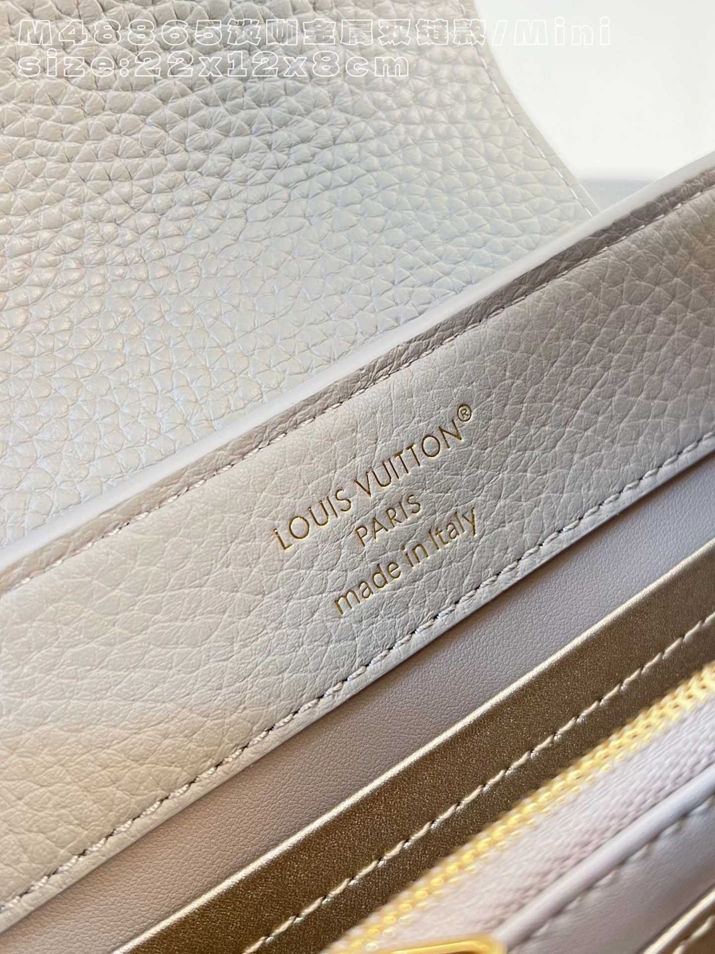 Louis Vuitton Basic Bag Cow Leather M-l-s