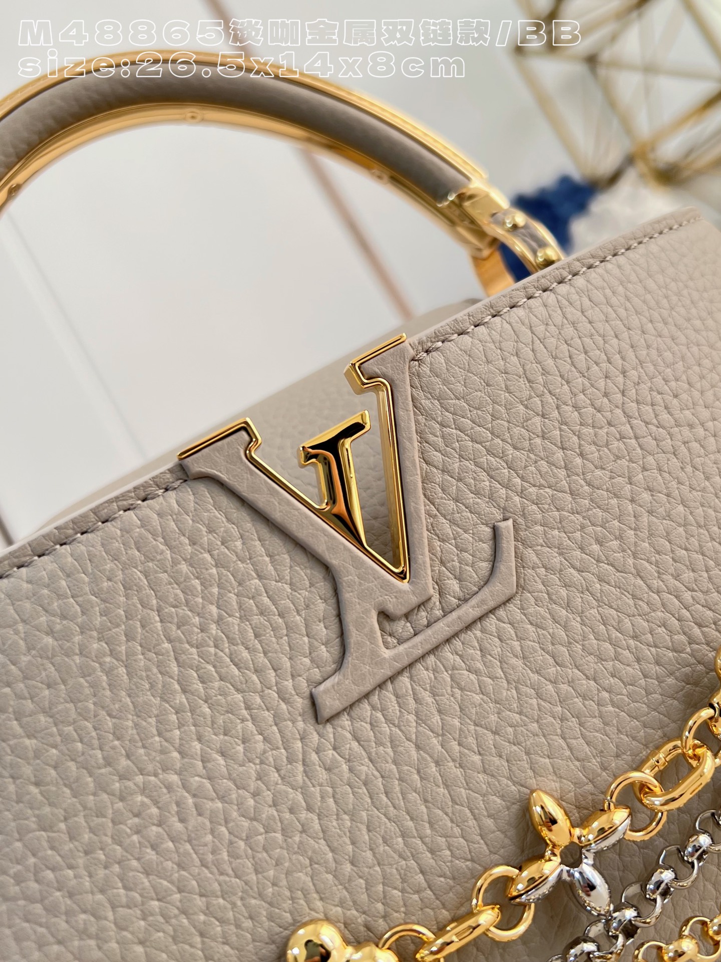 Louis Vuitton Basic Bag Cow Leather M-l-s