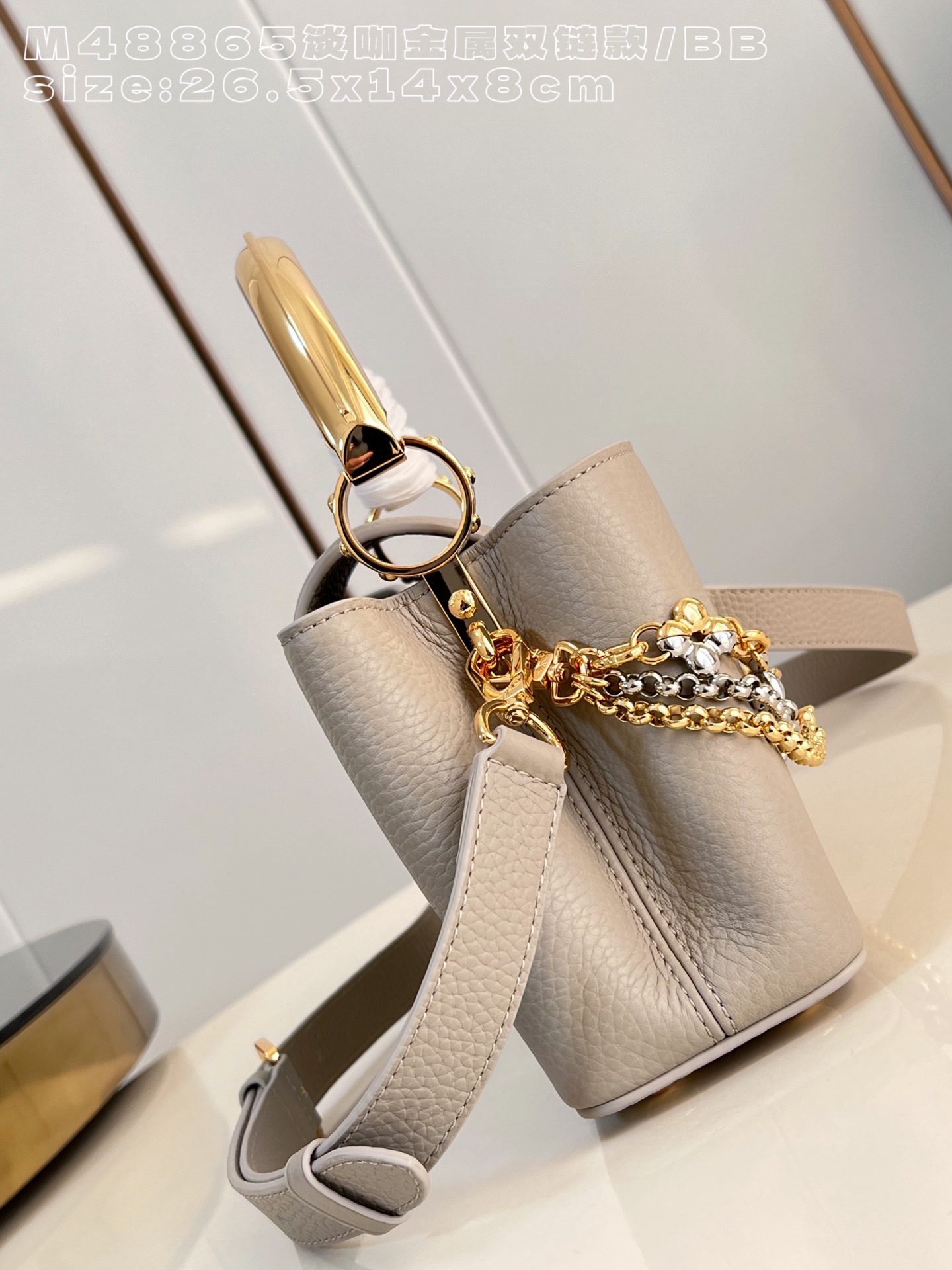 Louis Vuitton Basic Bag Cow Leather M-l-s