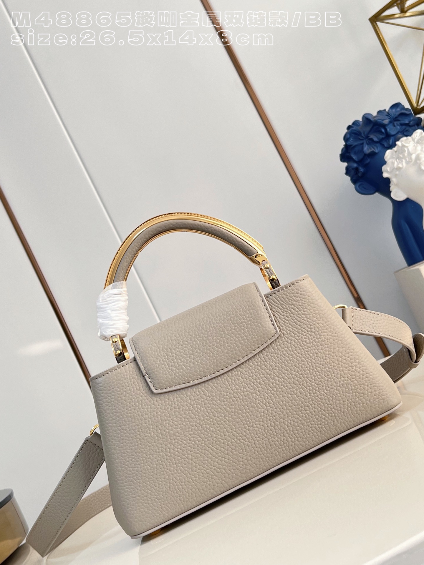 Louis Vuitton Basic Bag Cow Leather M-l-s