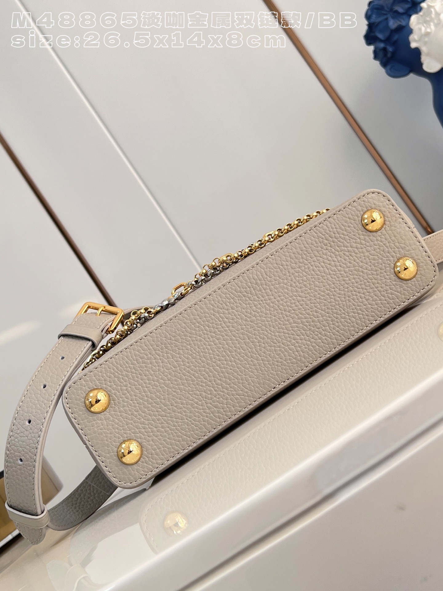 Louis Vuitton Basic Bag Cow Leather M-l-s